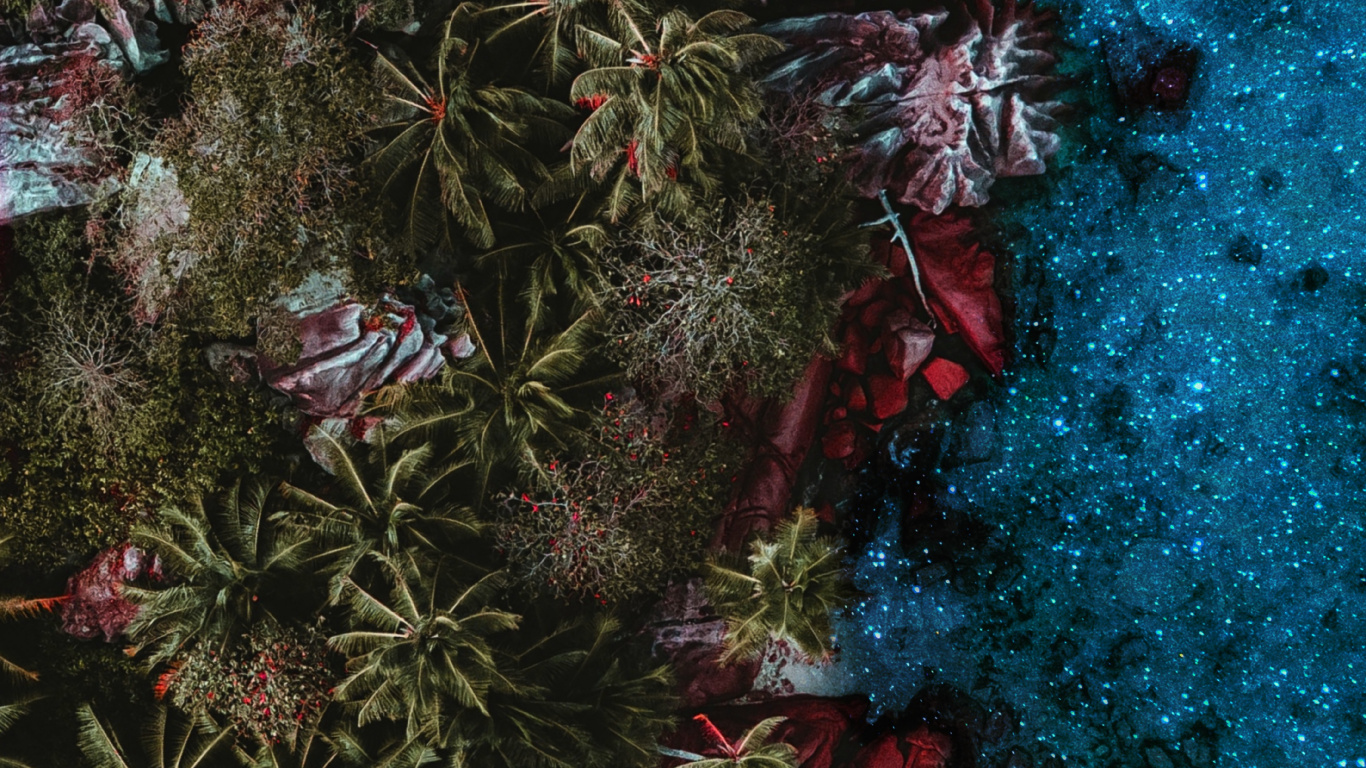 Riff, Branch, Pink, Terrestrische Pflanzen, Baum. Wallpaper in 1366x768 Resolution