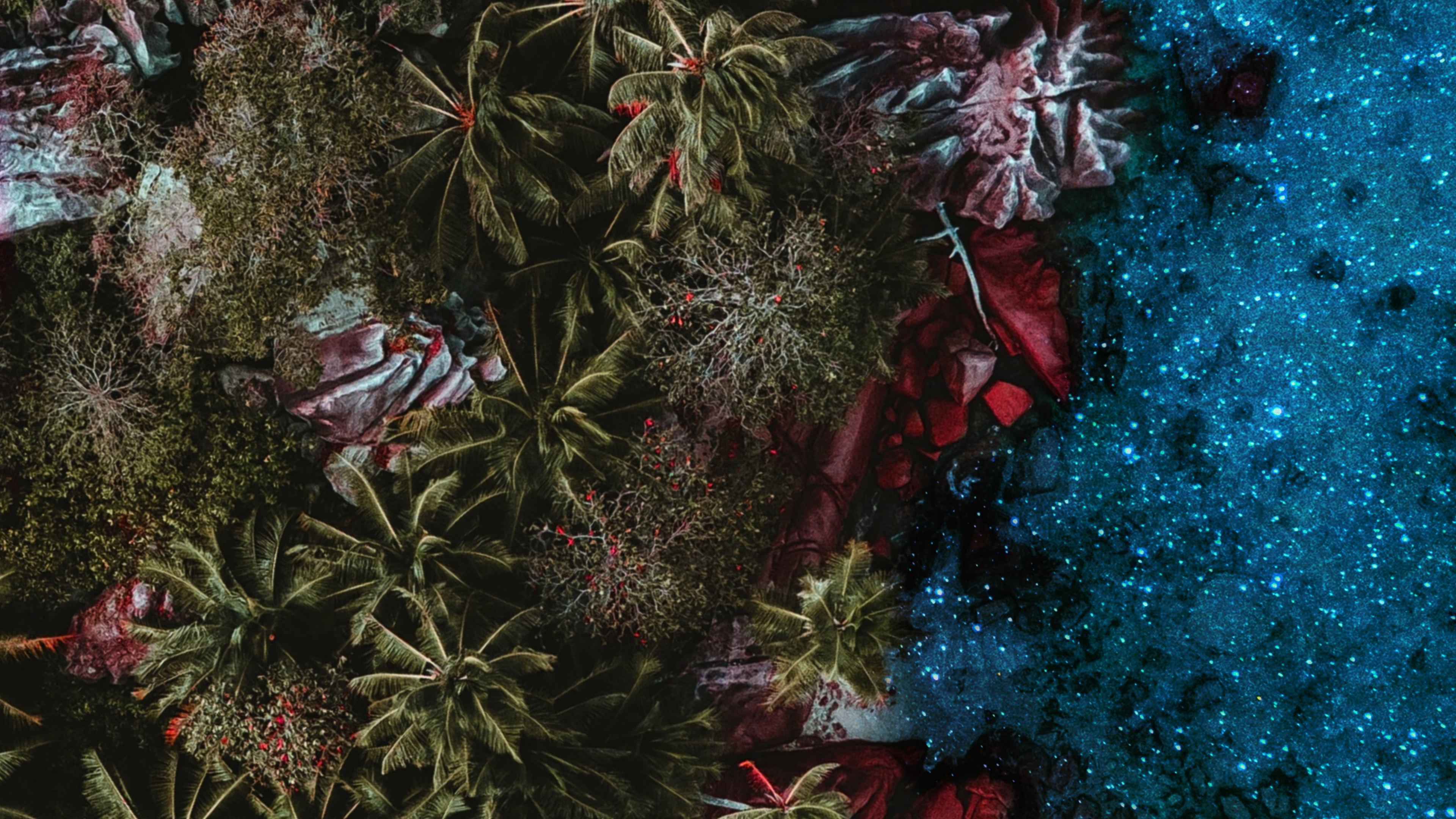 Riff, Branch, Pink, Terrestrische Pflanzen, Baum. Wallpaper in 3840x2160 Resolution