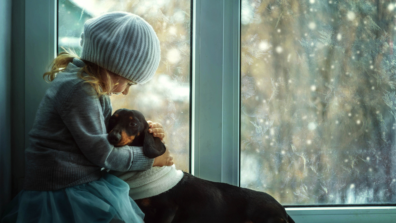 Dachshund, Dog, Window, Sitting, Cap. Wallpaper in 1366x768 Resolution