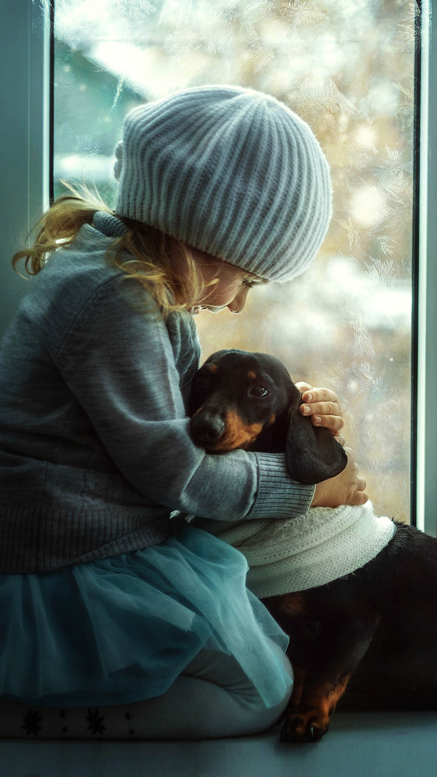 Dachshund, Dog, Window, Sitting, Cap. Wallpaper in 1440x2560 Resolution