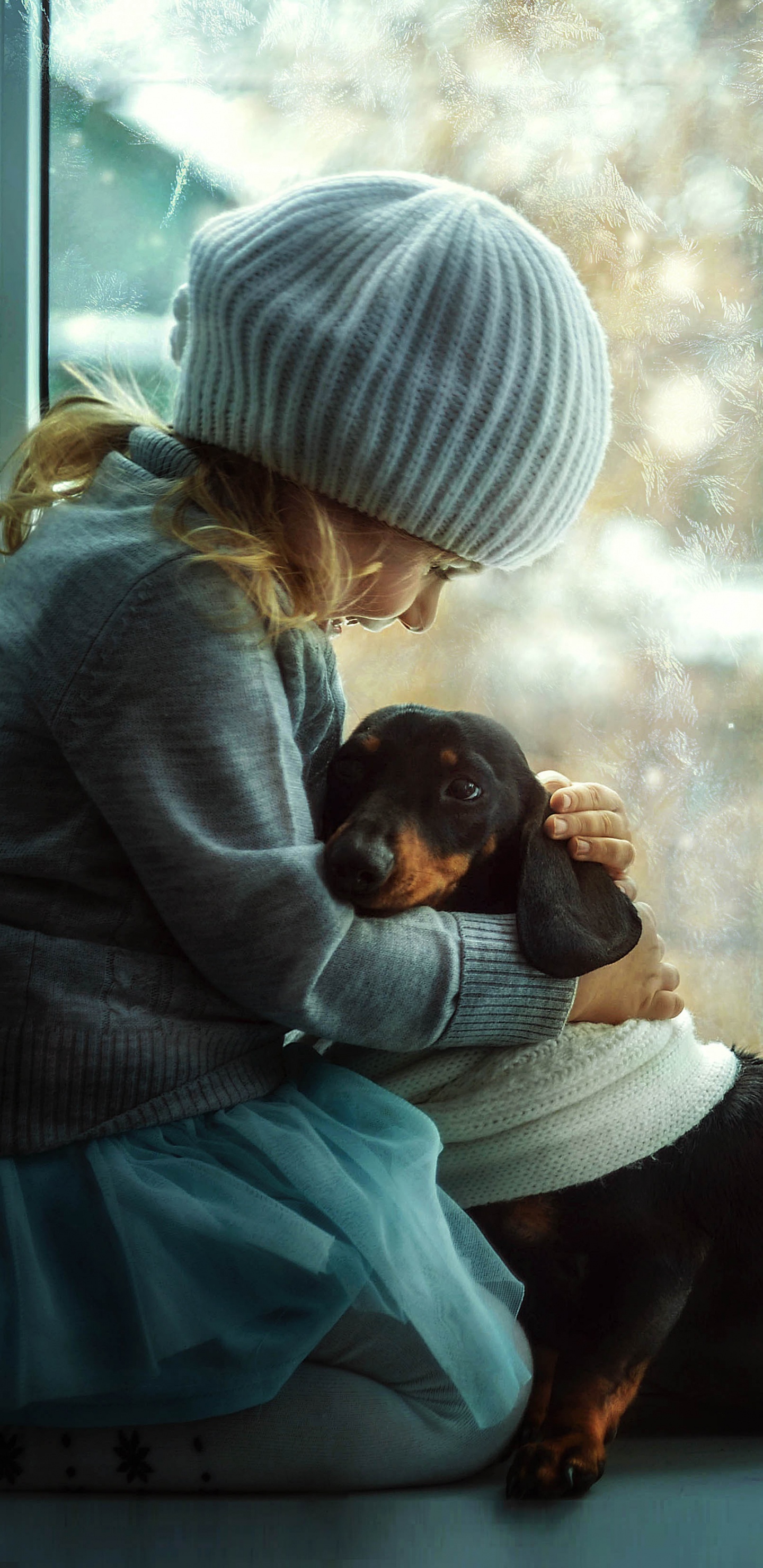 Dachshund, Dog, Window, Sitting, Cap. Wallpaper in 1440x2960 Resolution