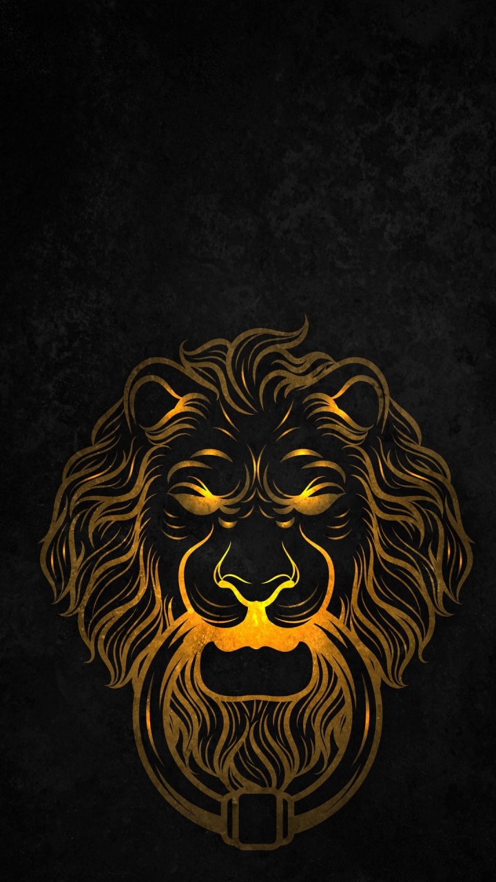 Grandes Felinos, Artes Visuales, Cabello, Cabeza, Barba. Wallpaper in 720x1280 Resolution