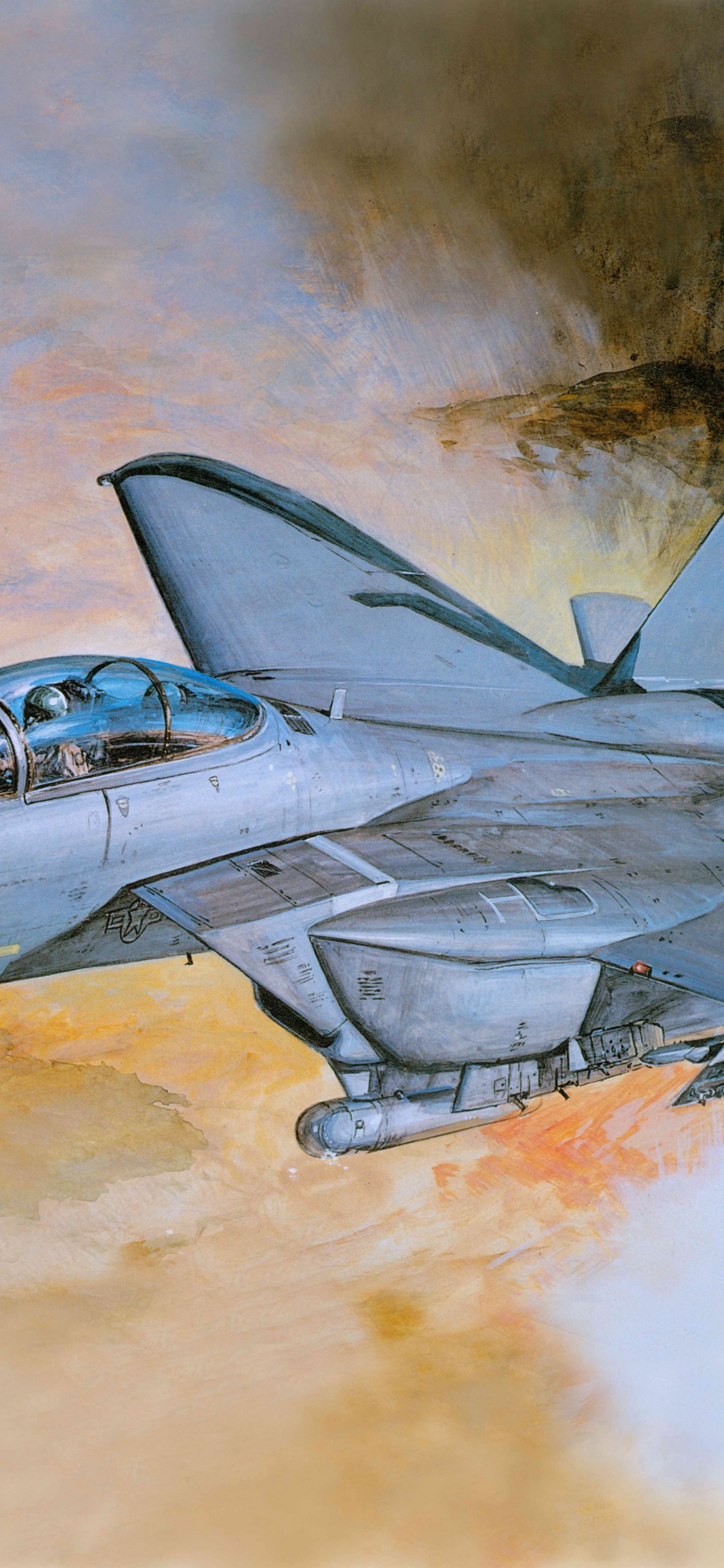 Avión de Combate Gris en el Cielo. Wallpaper in 1125x2436 Resolution