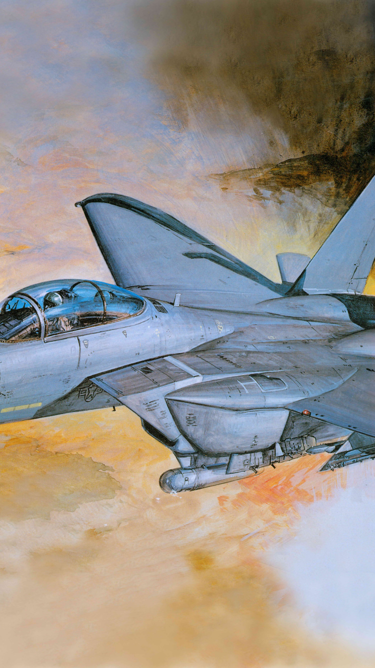 Avión de Combate Gris en el Cielo. Wallpaper in 750x1334 Resolution