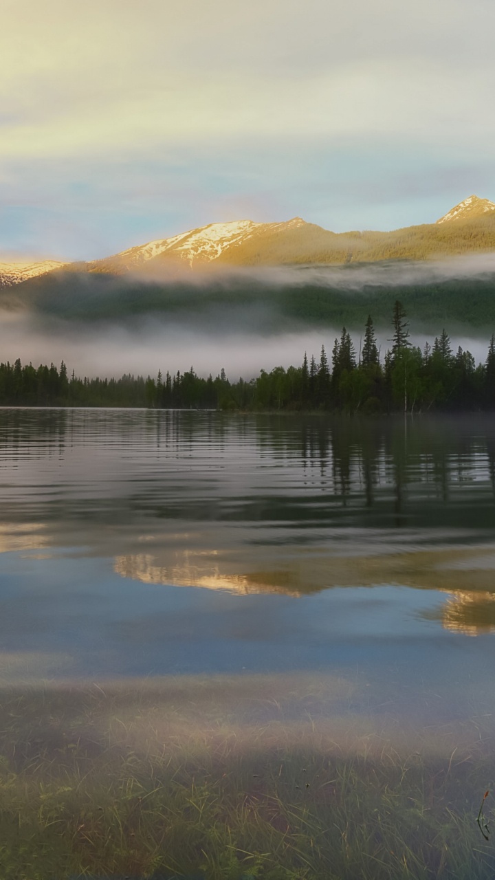 Profond Dans, Eau, L'écorégion, Paysage Naturel, Highland. Wallpaper in 720x1280 Resolution