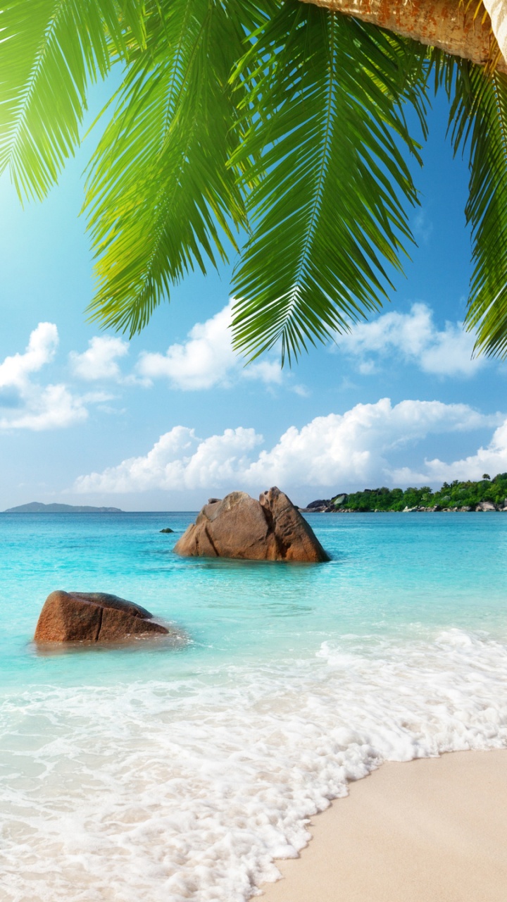 海洋, 大海, 热带地区, 加勒比, 度假 壁纸 720x1280 允许