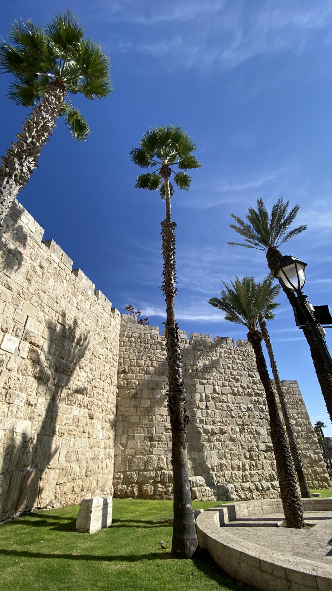 Archaeological Site, Palm Trees, Ancient History, Ruins, Wall. Wallpaper in 1080x1920 Resolution