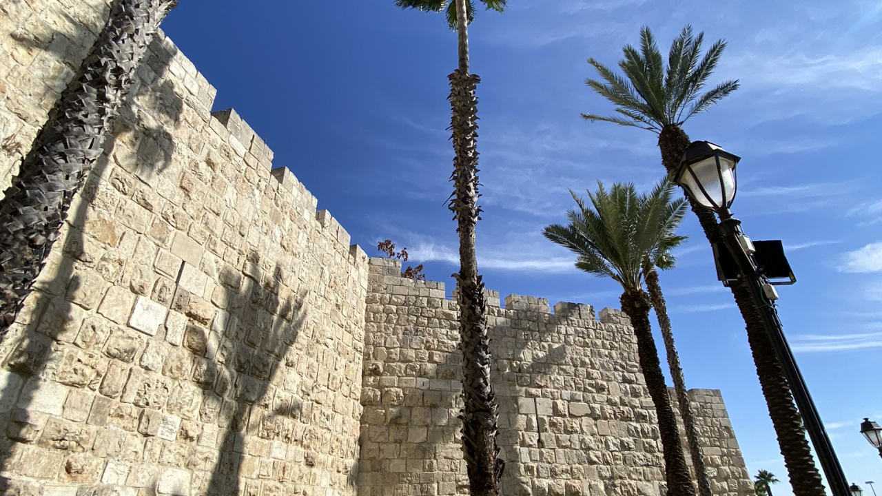 Archaeological Site, Palm Trees, Ancient History, Ruins, Wall. Wallpaper in 1280x720 Resolution