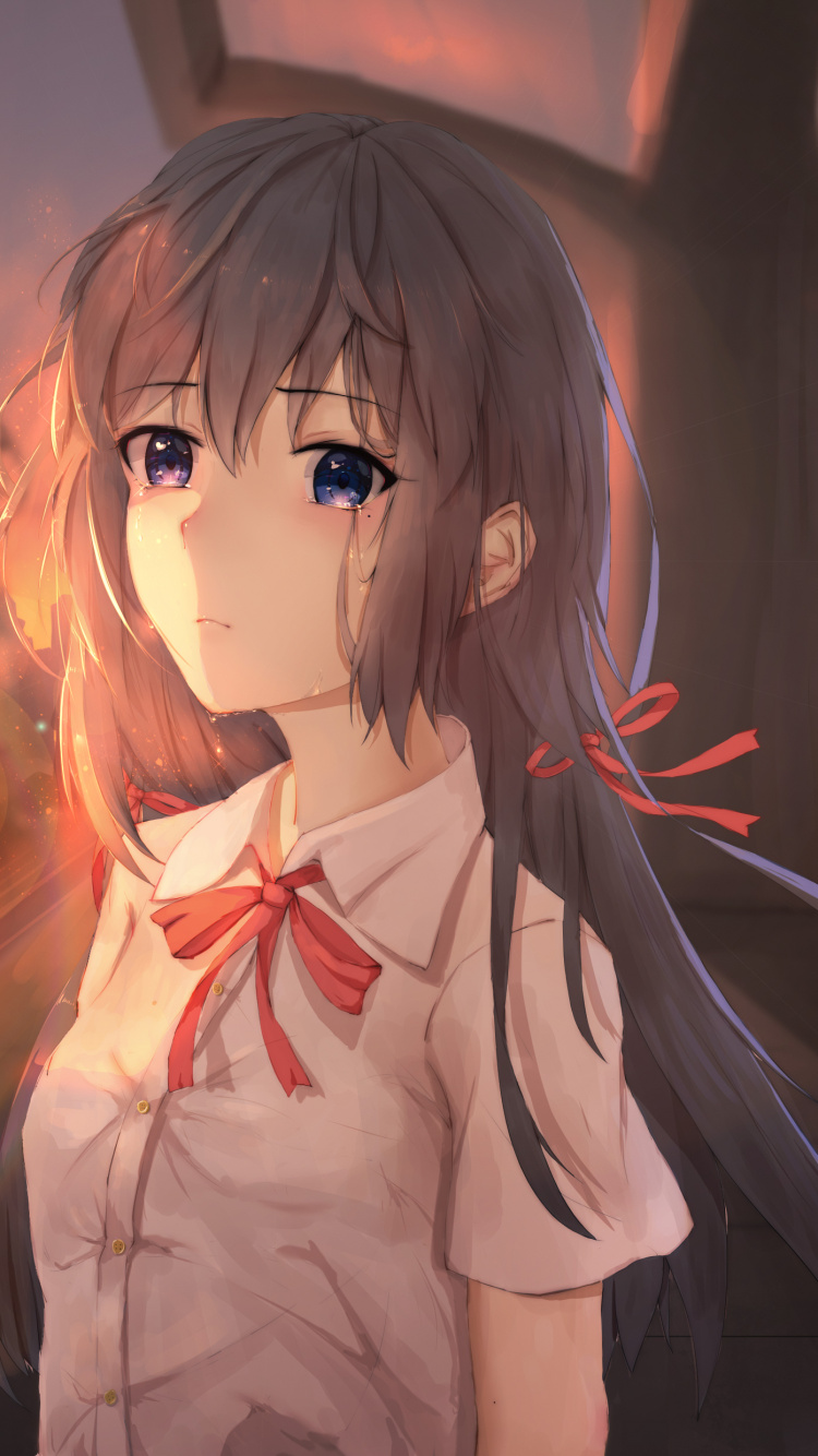 Braunhaarige Weibliche Anime-Figur. Wallpaper in 750x1334 Resolution