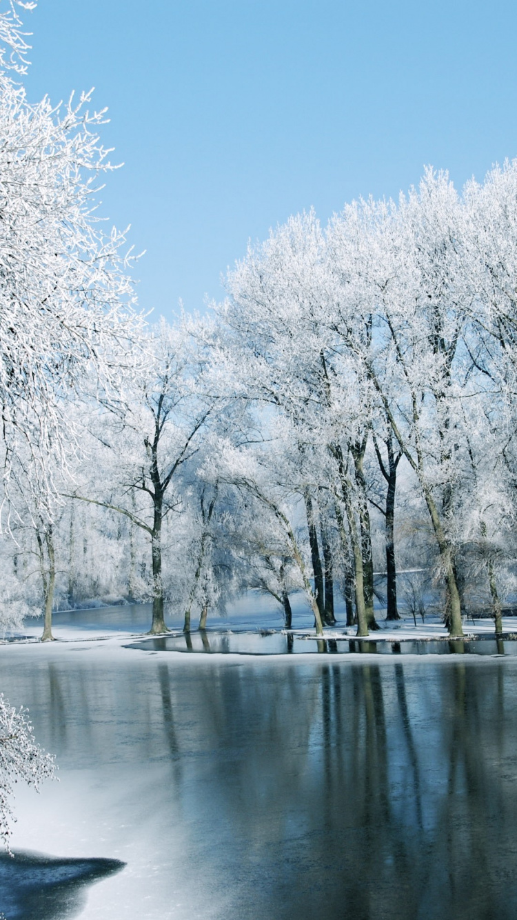 Weiße Bäume Neben Dem Fluss Unter Blauem Himmel Tagsüber. Wallpaper in 750x1334 Resolution