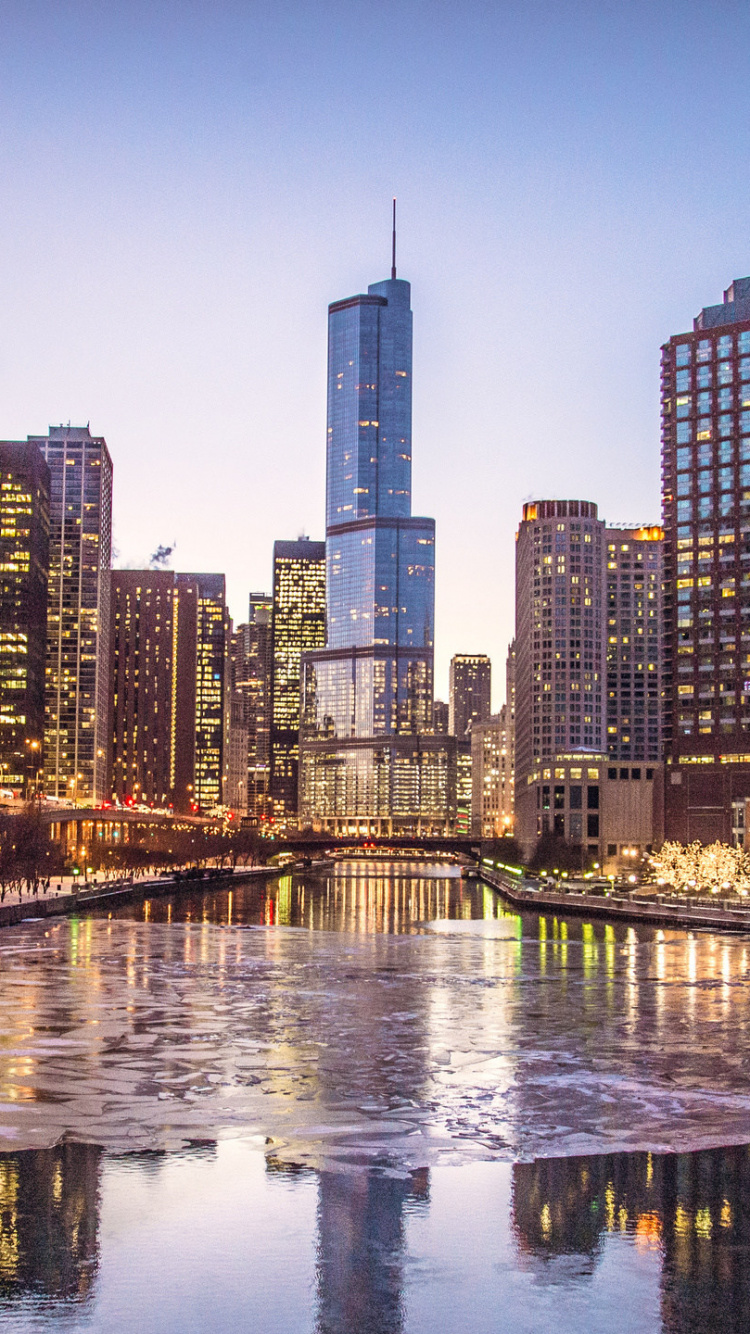 City Skyline Across Body of Water During Night Time. Wallpaper in 750x1334 Resolution
