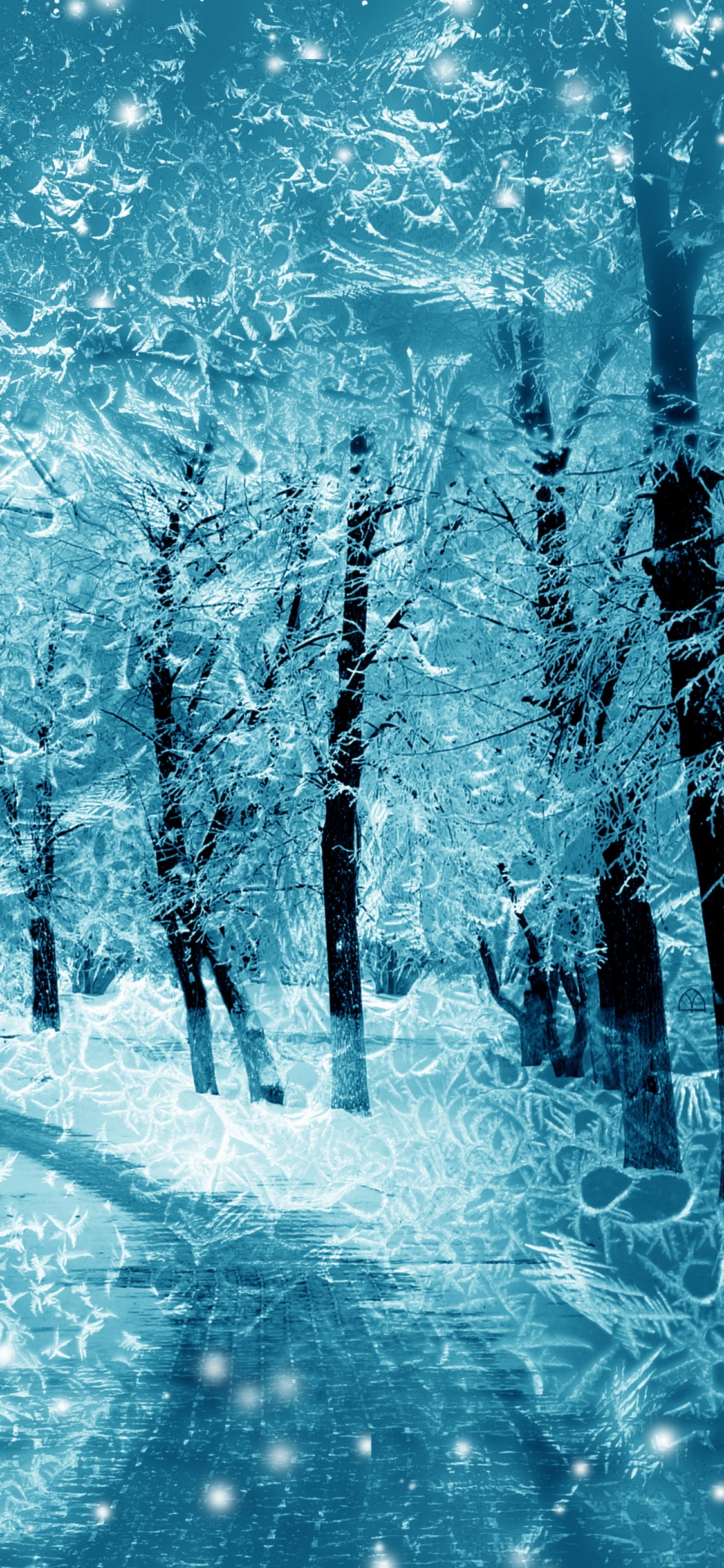 Snow Covered Trees During Daytime. Wallpaper in 1125x2436 Resolution