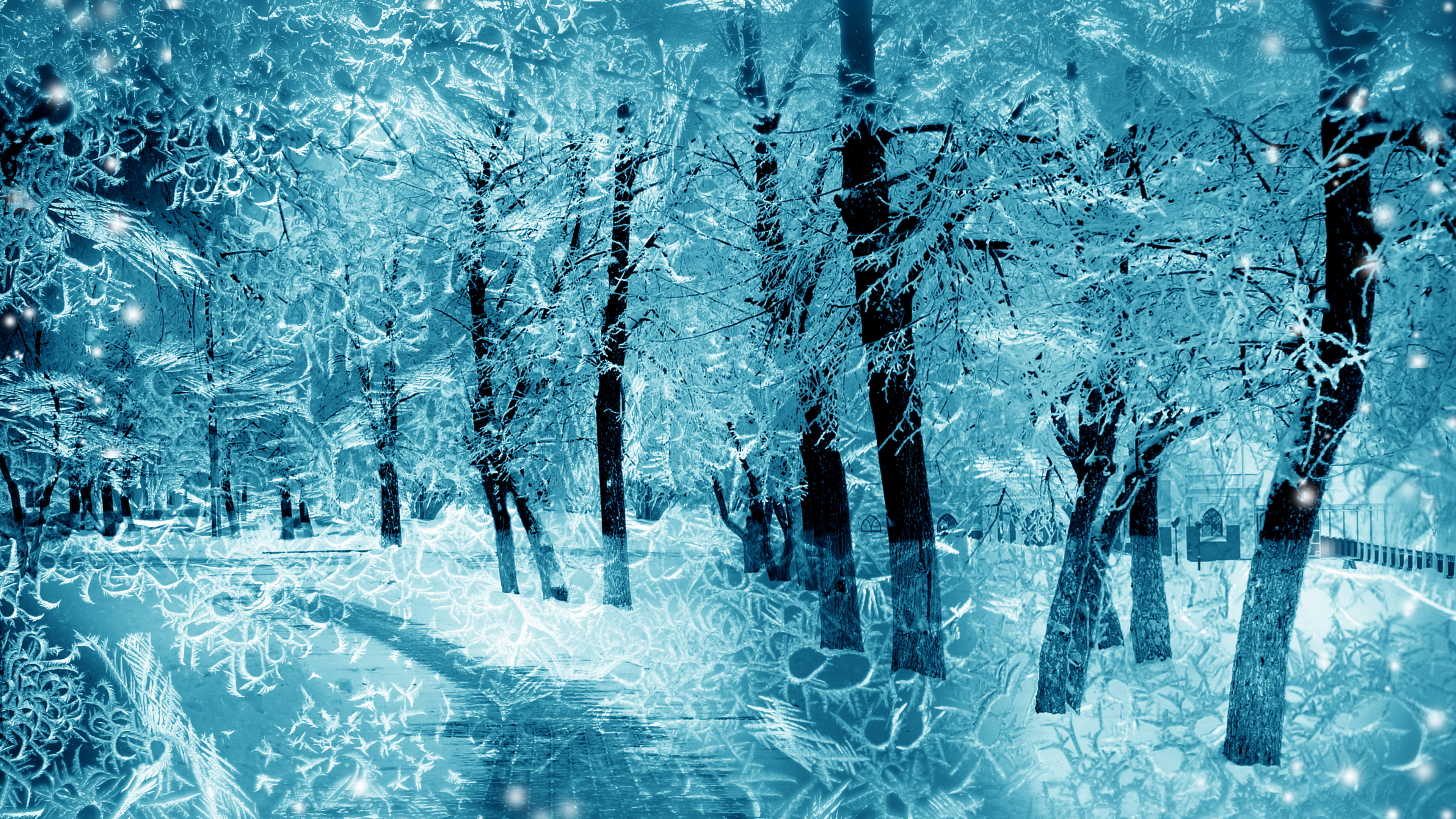 Snow Covered Trees During Daytime. Wallpaper in 3840x2160 Resolution