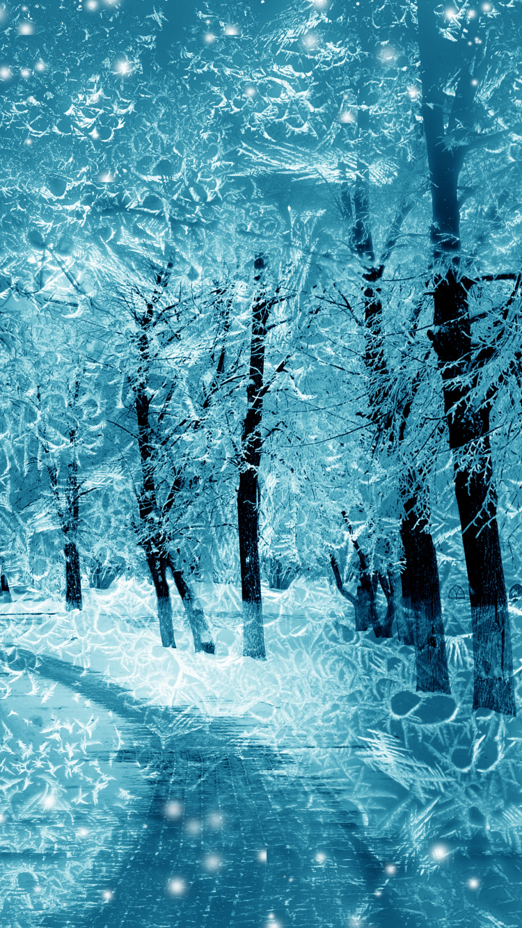 Snow Covered Trees During Daytime. Wallpaper in 750x1334 Resolution