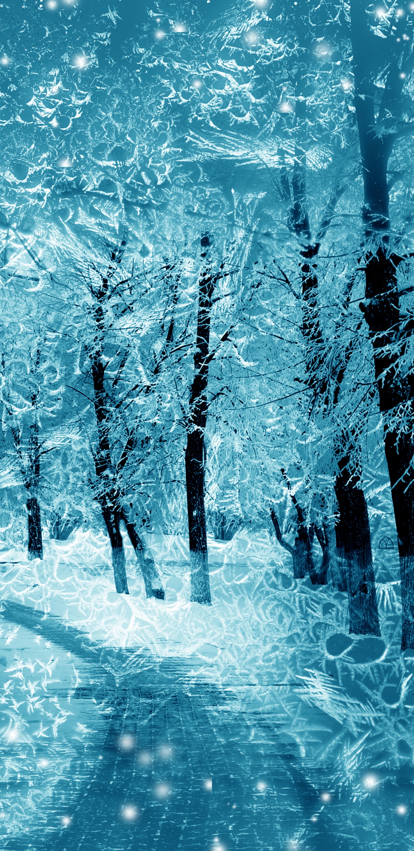 Arbres Couverts de Neige Pendant la Journée. Wallpaper in 1440x2960 Resolution