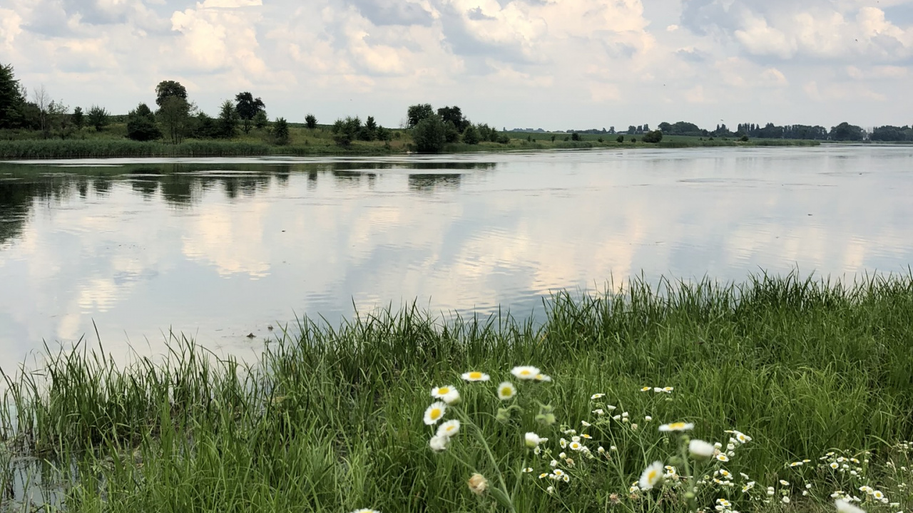 Nature Reserve, Salt Marsh, Natural Environment, Plant, Natural Landscape. Wallpaper in 1280x720 Resolution
