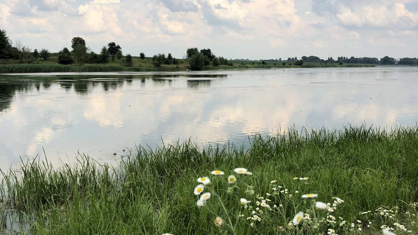 Nature Reserve, Salt Marsh, Natural Environment, Plant, Natural Landscape. Wallpaper in 1366x768 Resolution