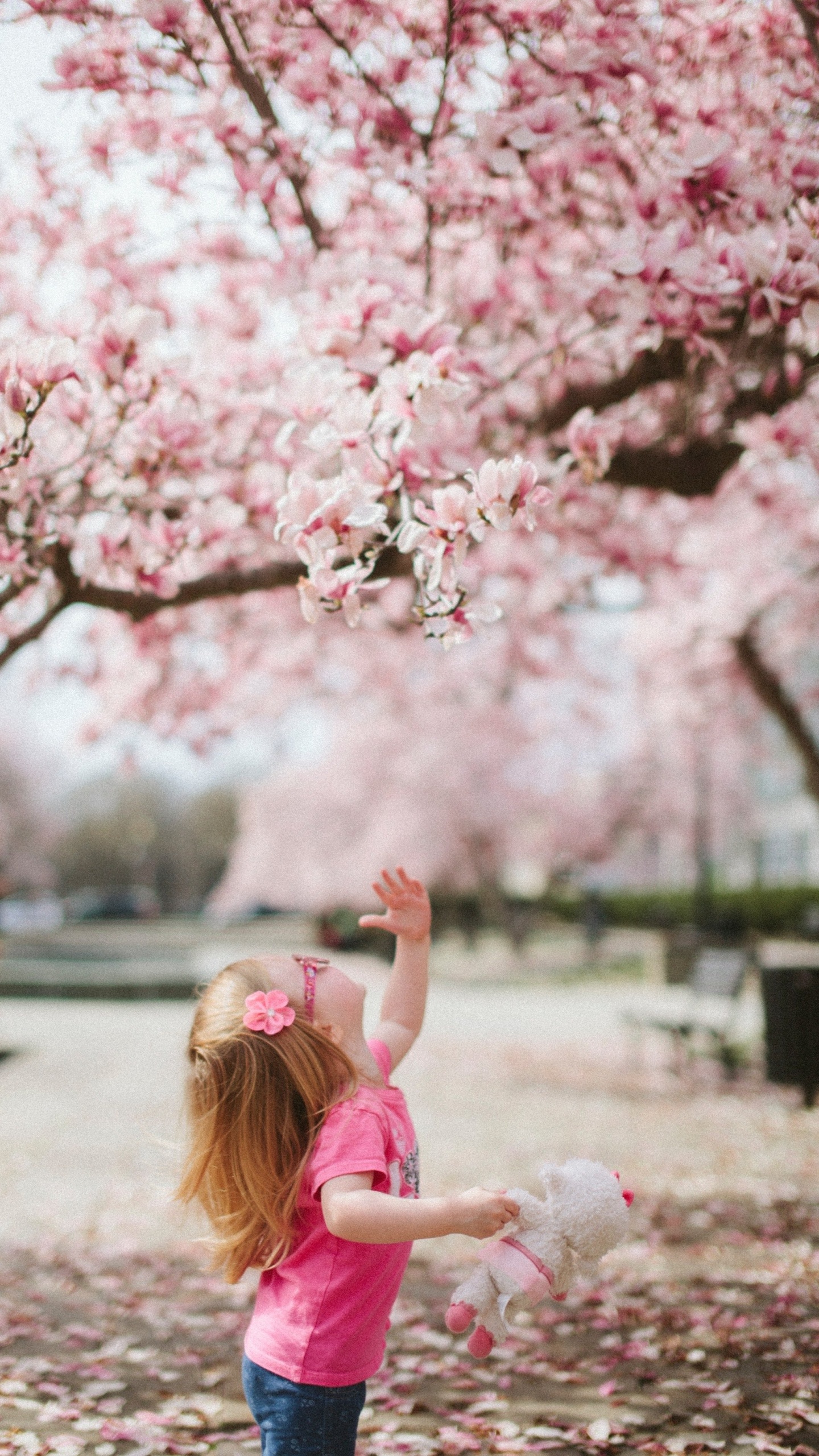 Cuteness, Flower, Plant, People in Nature, Botany. Wallpaper in 1440x2560 Resolution