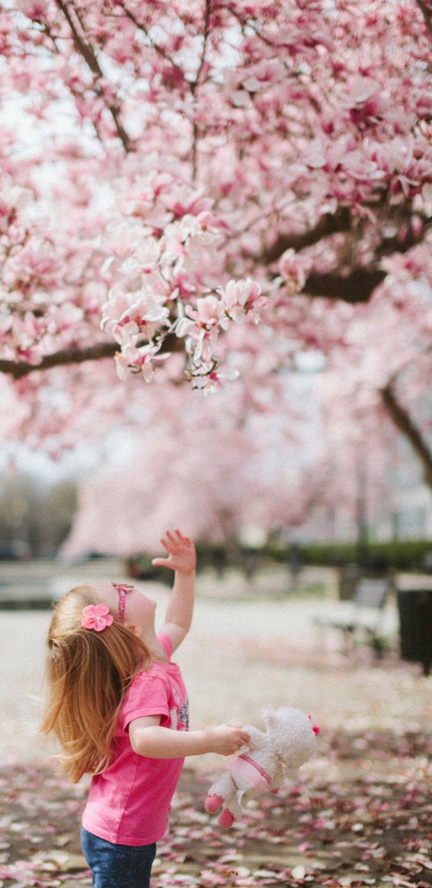 Cuteness, Flower, Plant, People in Nature, Botany. Wallpaper in 1440x2960 Resolution