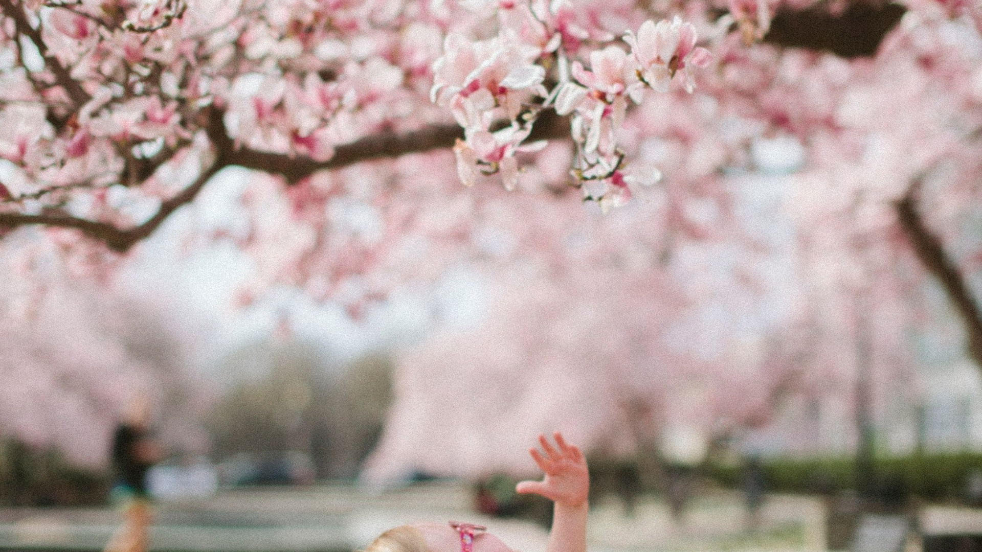 Cuteness, Flower, Plant, People in Nature, Botany. Wallpaper in 1920x1080 Resolution