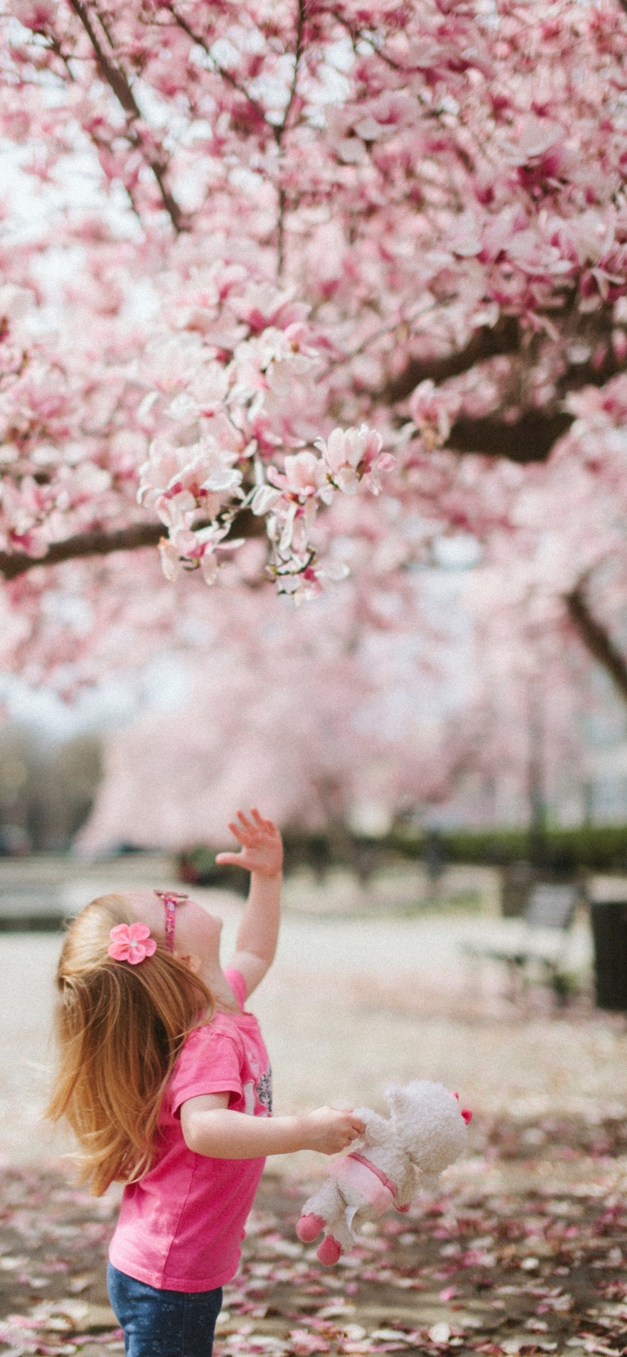 Niedlichkeit, Menschen in Der Natur, Botanik, Licht, Natur. Wallpaper in 1242x2688 Resolution