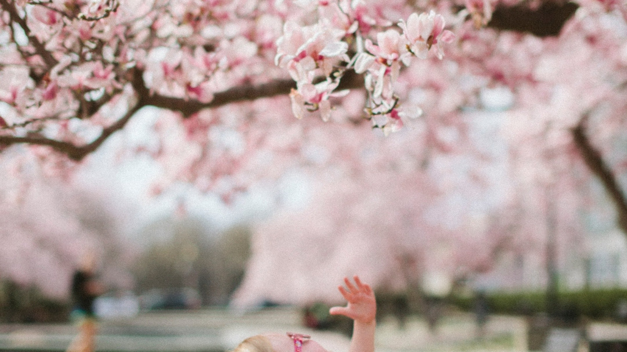 Niedlichkeit, Menschen in Der Natur, Botanik, Licht, Natur. Wallpaper in 1280x720 Resolution