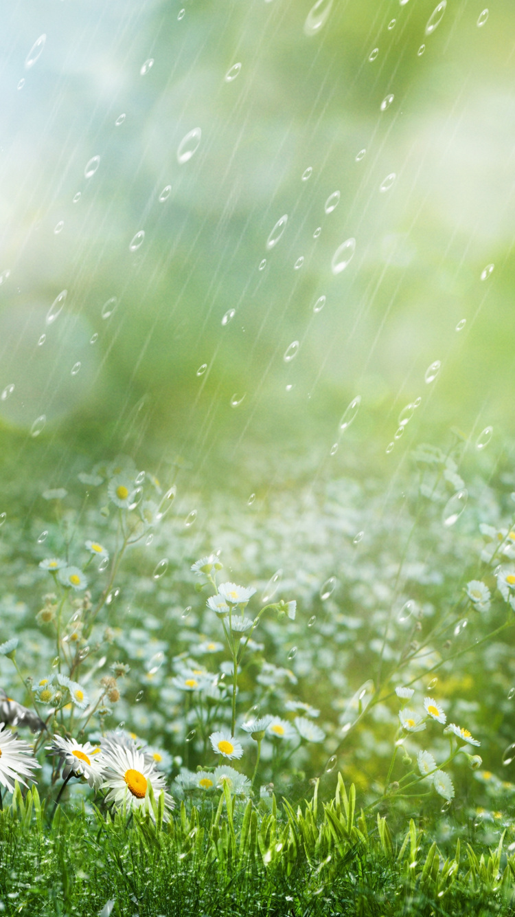 Rain Wallpapers - Top 35 Best Rain Backgrounds Download