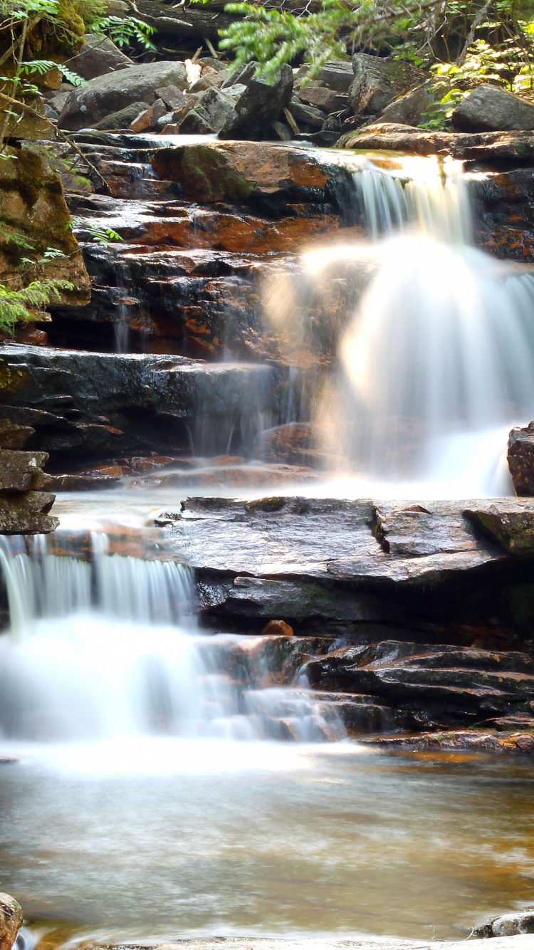 Cascadas en Medio Del Bosque. Wallpaper in 750x1334 Resolution