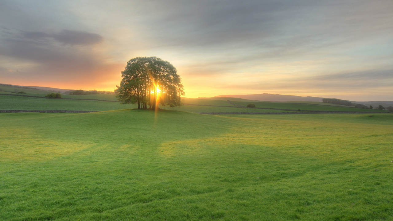 Champ D'herbe Verte Pendant la Journée. Wallpaper in 1280x720 Resolution