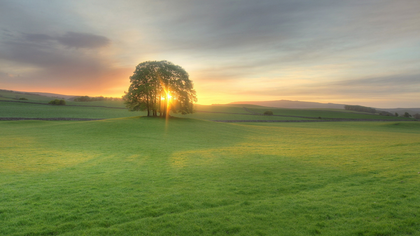 Campo de Hierba Verde Durante el Día. Wallpaper in 1366x768 Resolution