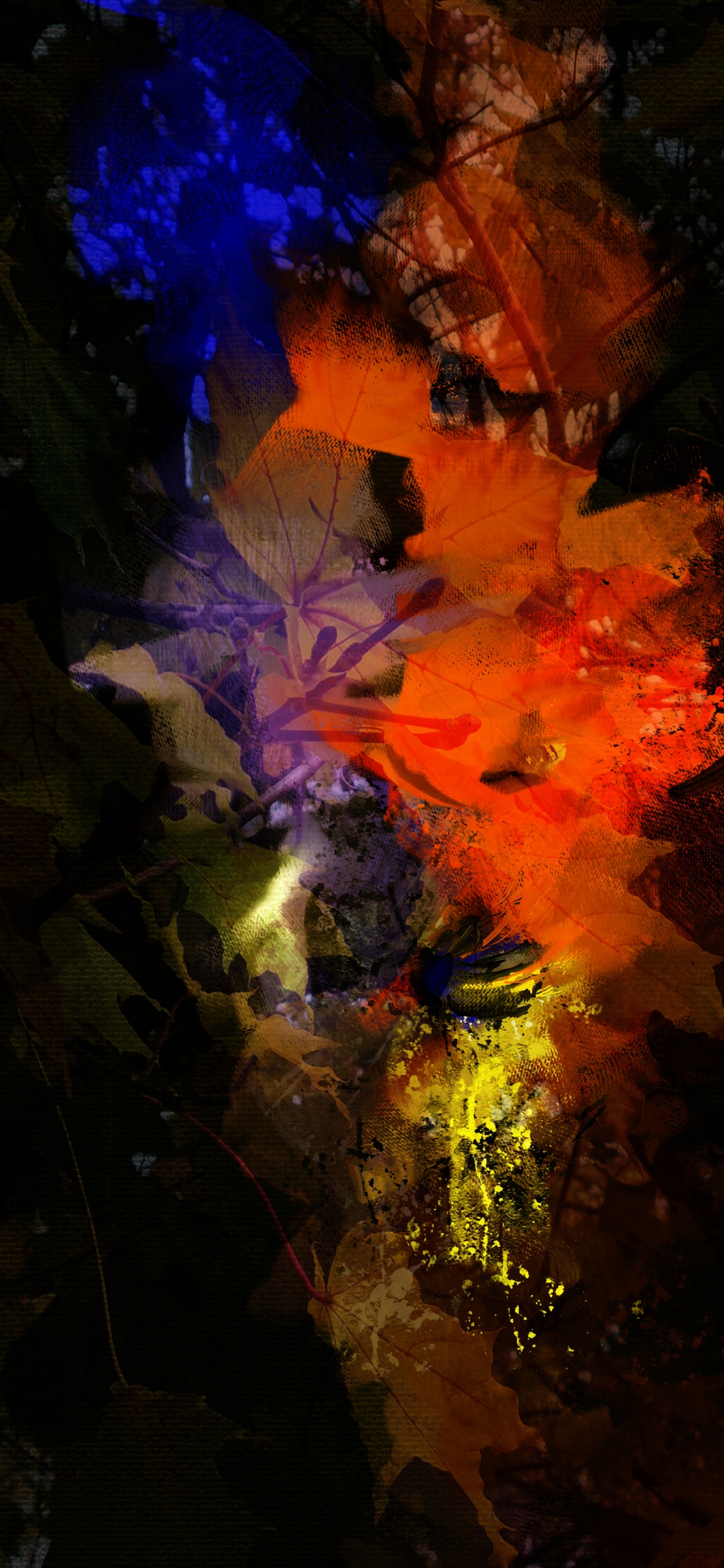 Naturaleza, Tierra, Agua, Tintes y Matices, Arte. Wallpaper in 1125x2436 Resolution