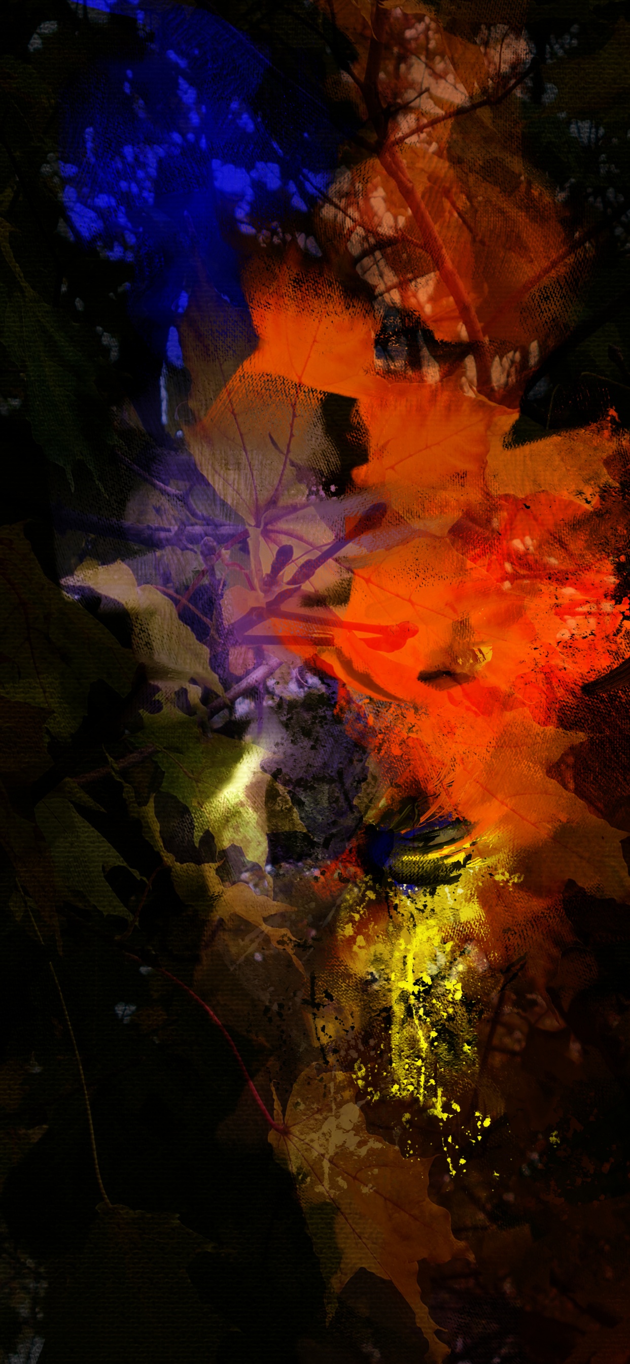 Naturaleza, Tierra, Agua, Tintes y Matices, Arte. Wallpaper in 1242x2688 Resolution