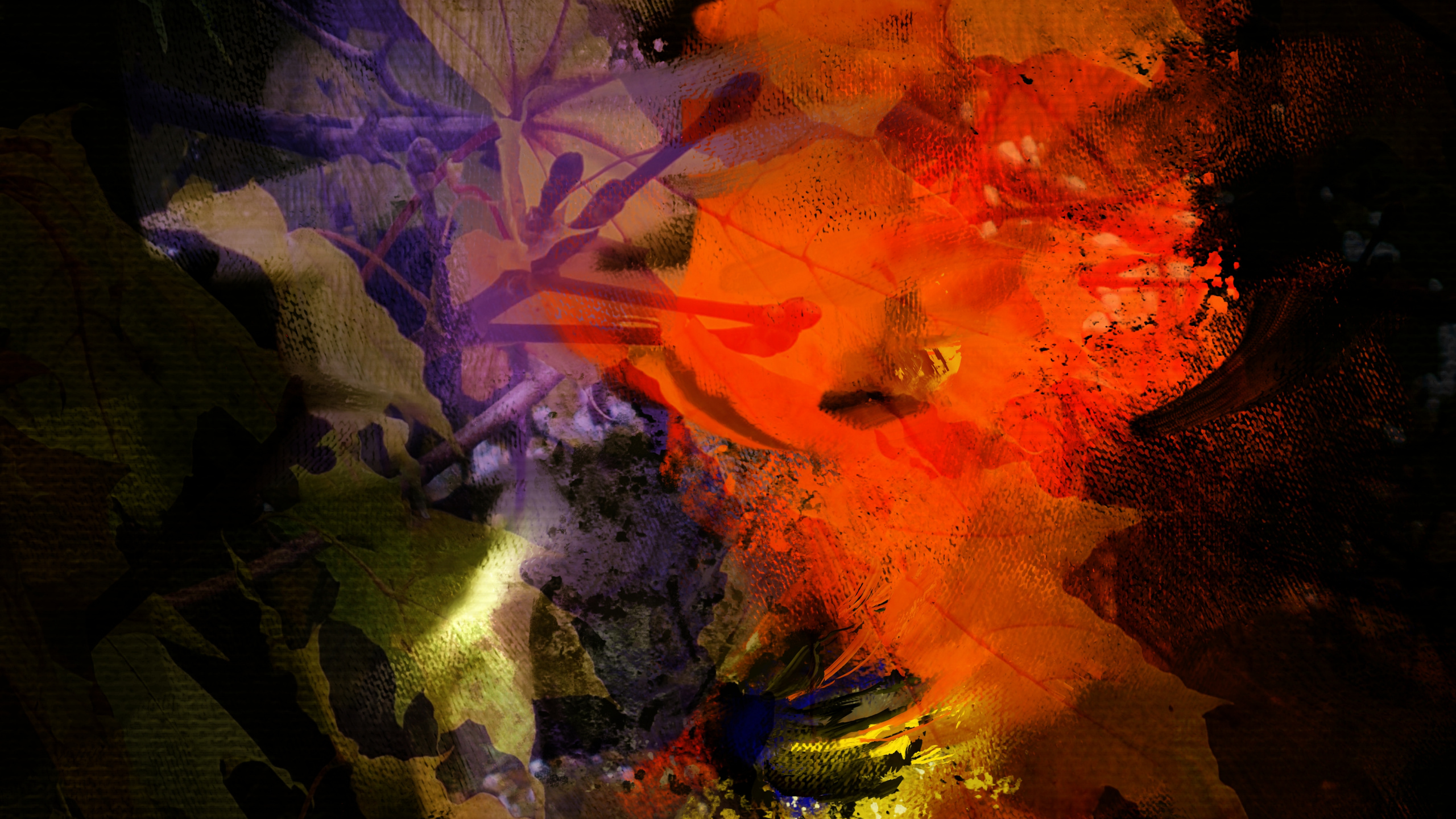 Nature, Earth, World, Water, Tints and Shades. Wallpaper in 2560x1440 Resolution