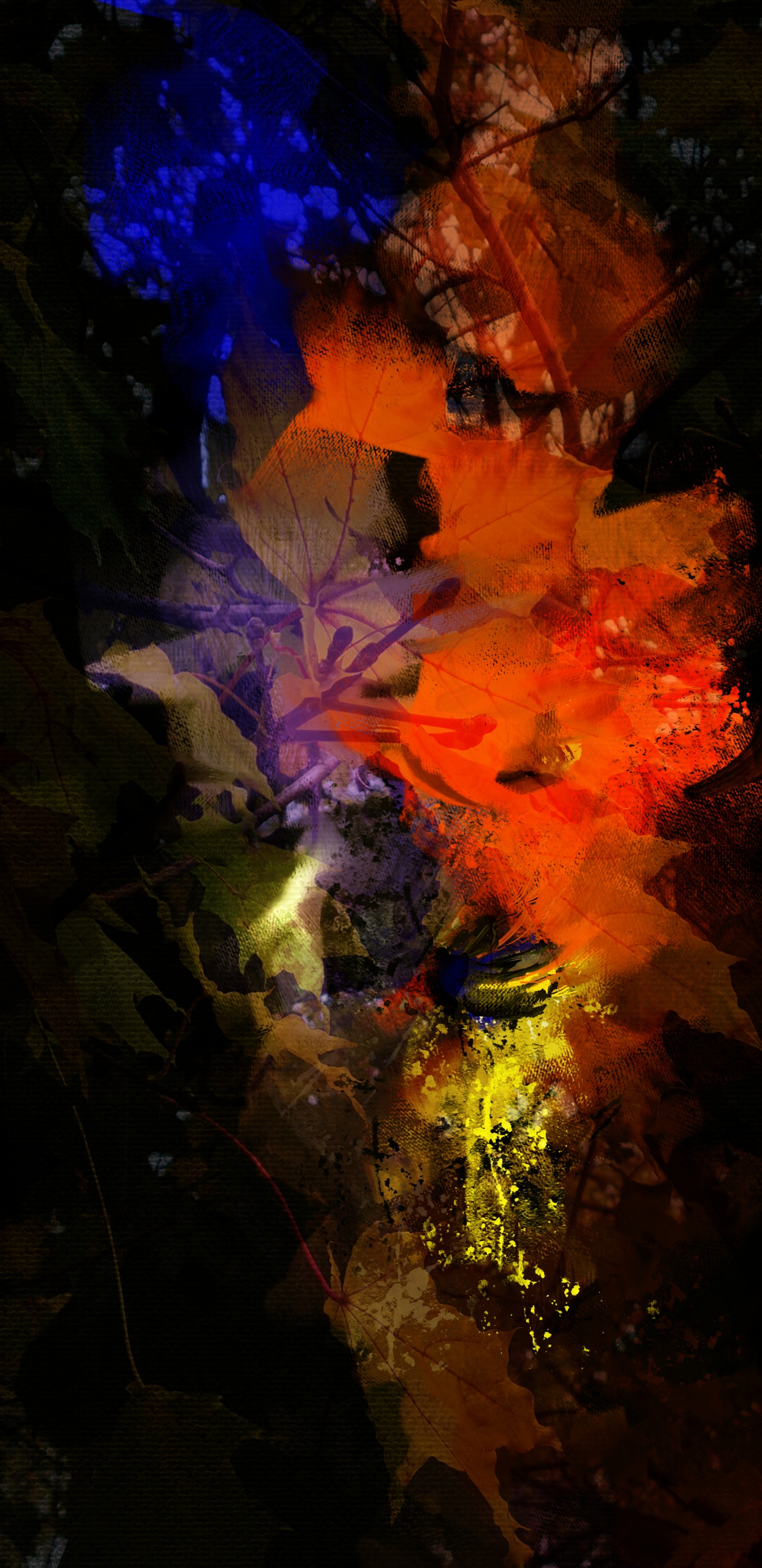 Nature, Terre, Eau, de Teintes et de Nuances, Formation. Wallpaper in 1440x2960 Resolution