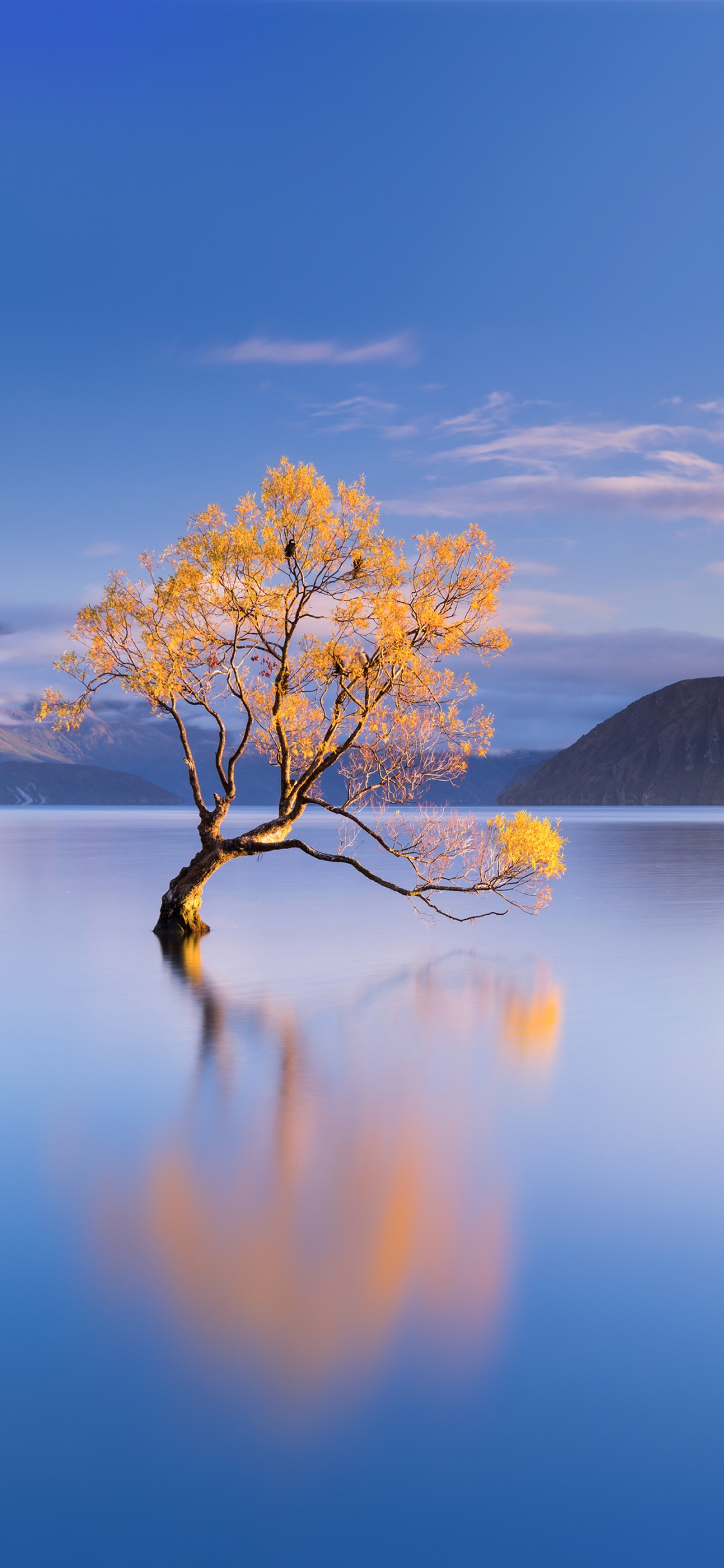 Water, Cloud, Water Resources, Plant, Mountain. Wallpaper in 1125x2436 Resolution