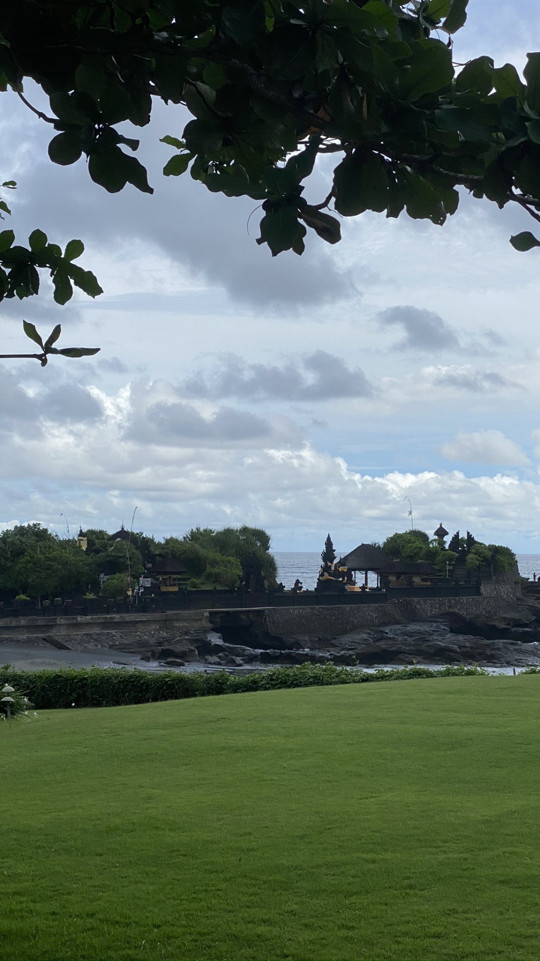 Bali, Blatt, Polyurethanschaumpistole 025st, Wissenschaft, Biologie. Wallpaper in 1080x1920 Resolution