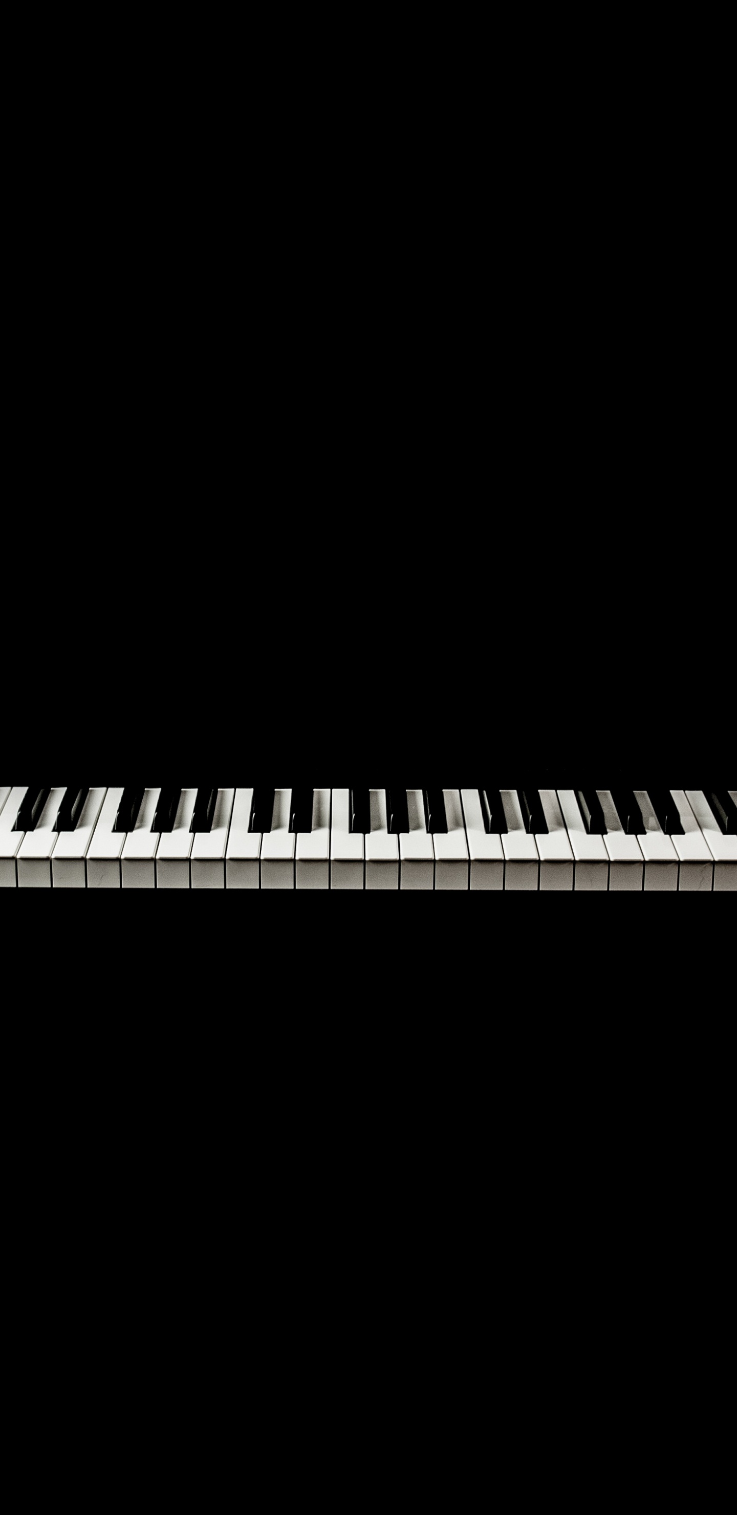 音乐键盘, 数字钢琴, 电子琴, 钢琴, 键盘 壁纸 1440x2960 允许