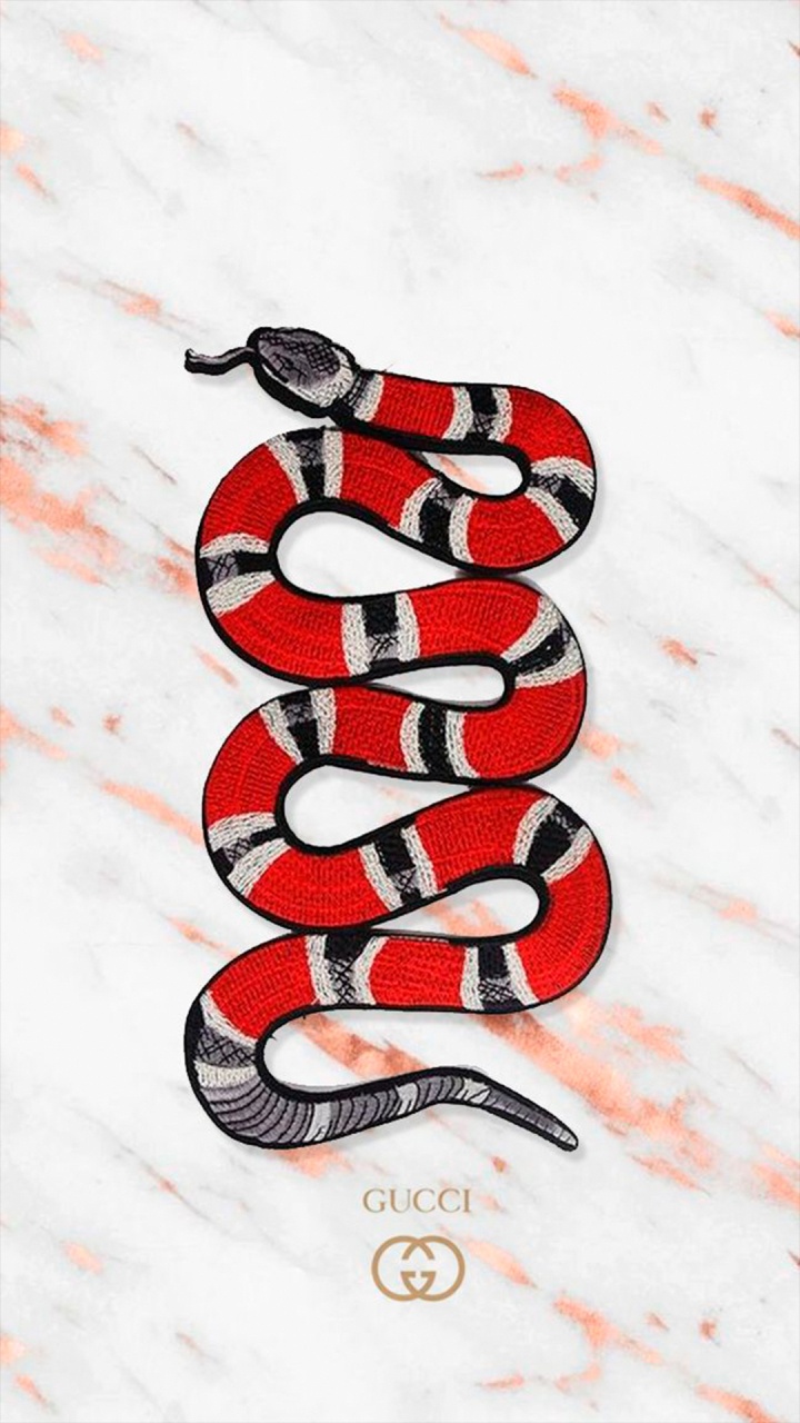 Telefono Gucci, Gucci, Reptil, Escala de Reptiles, Insecto. Wallpaper in 720x1280 Resolution