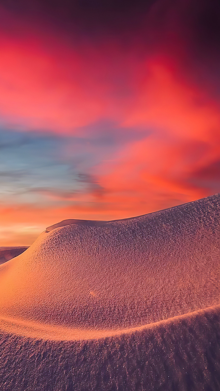 Erg, el Desierto Del Sahara, Macaron, Arena, Duna. Wallpaper in 750x1334 Resolution