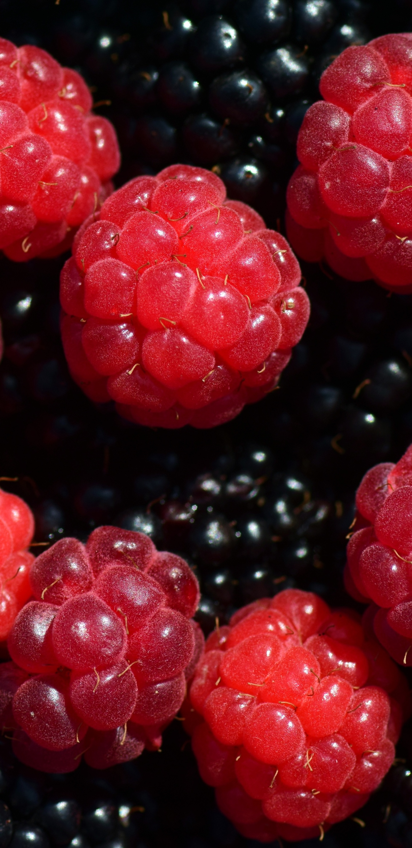 Red Round Fruit on Black Surface. Wallpaper in 1440x2960 Resolution