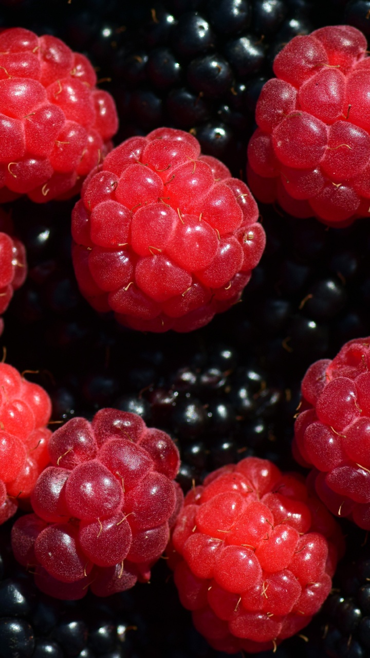 Red Round Fruit on Black Surface. Wallpaper in 720x1280 Resolution