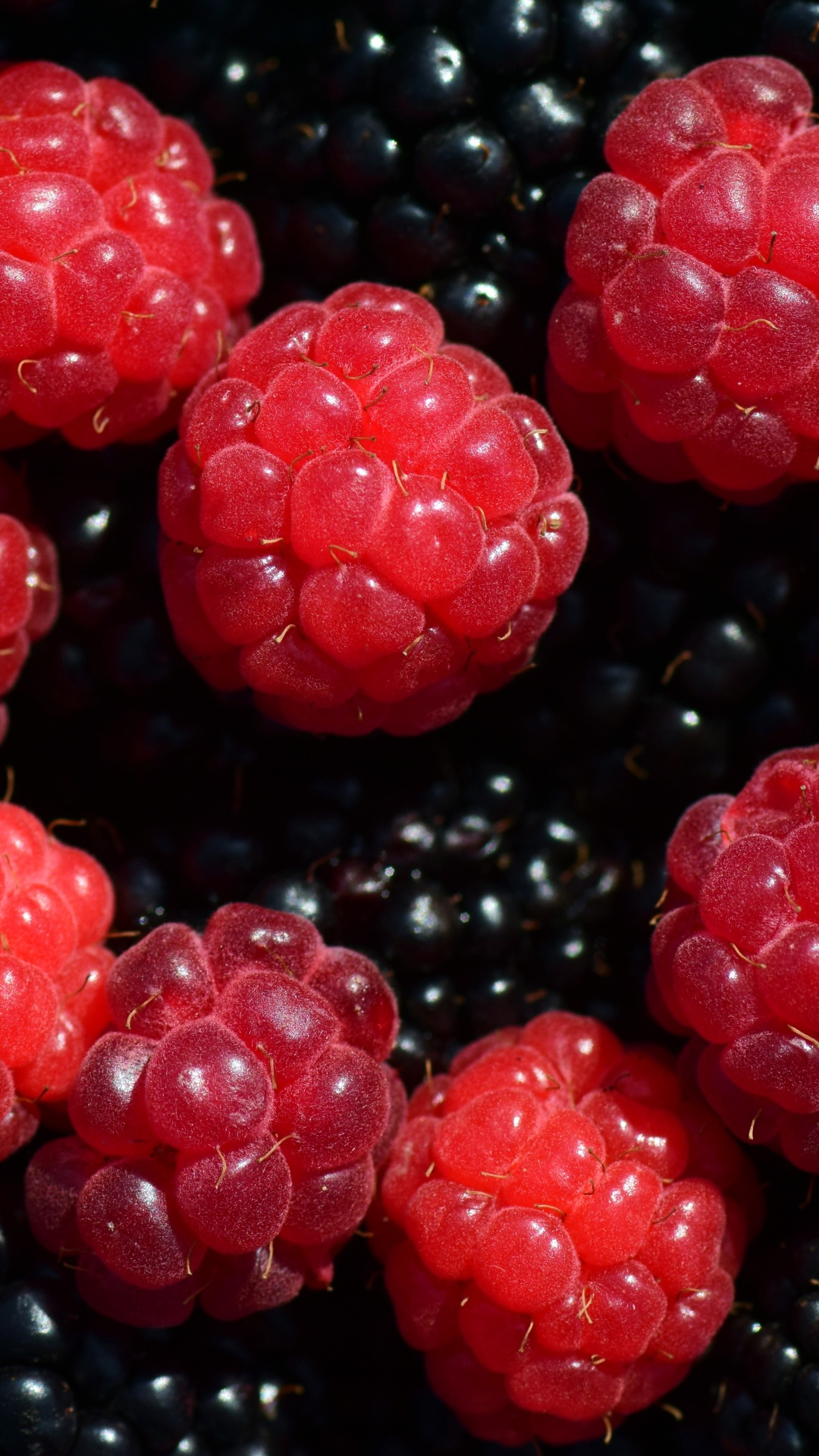 Fruto Redondo Rojo Sobre Superficie Negra. Wallpaper in 1080x1920 Resolution