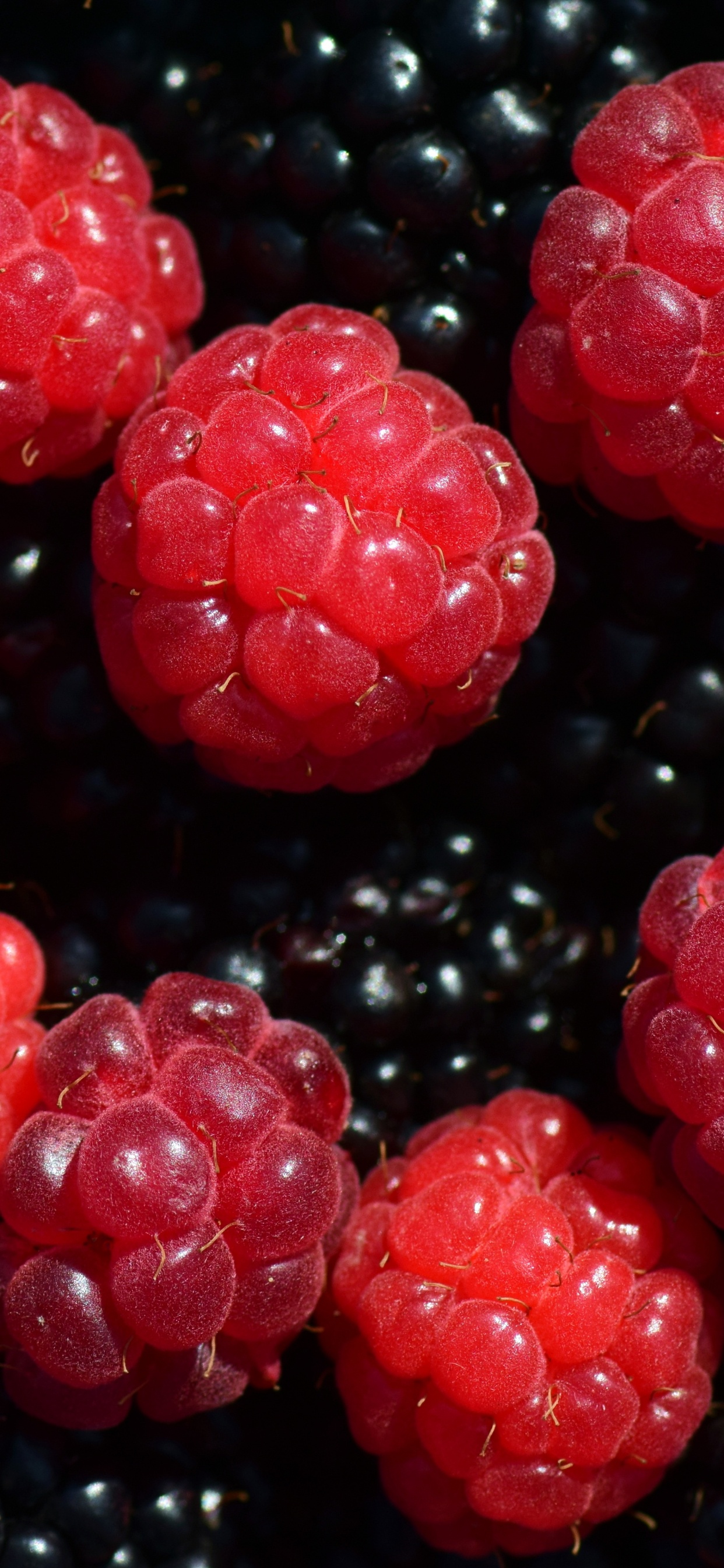 Fruto Redondo Rojo Sobre Superficie Negra. Wallpaper in 1242x2688 Resolution