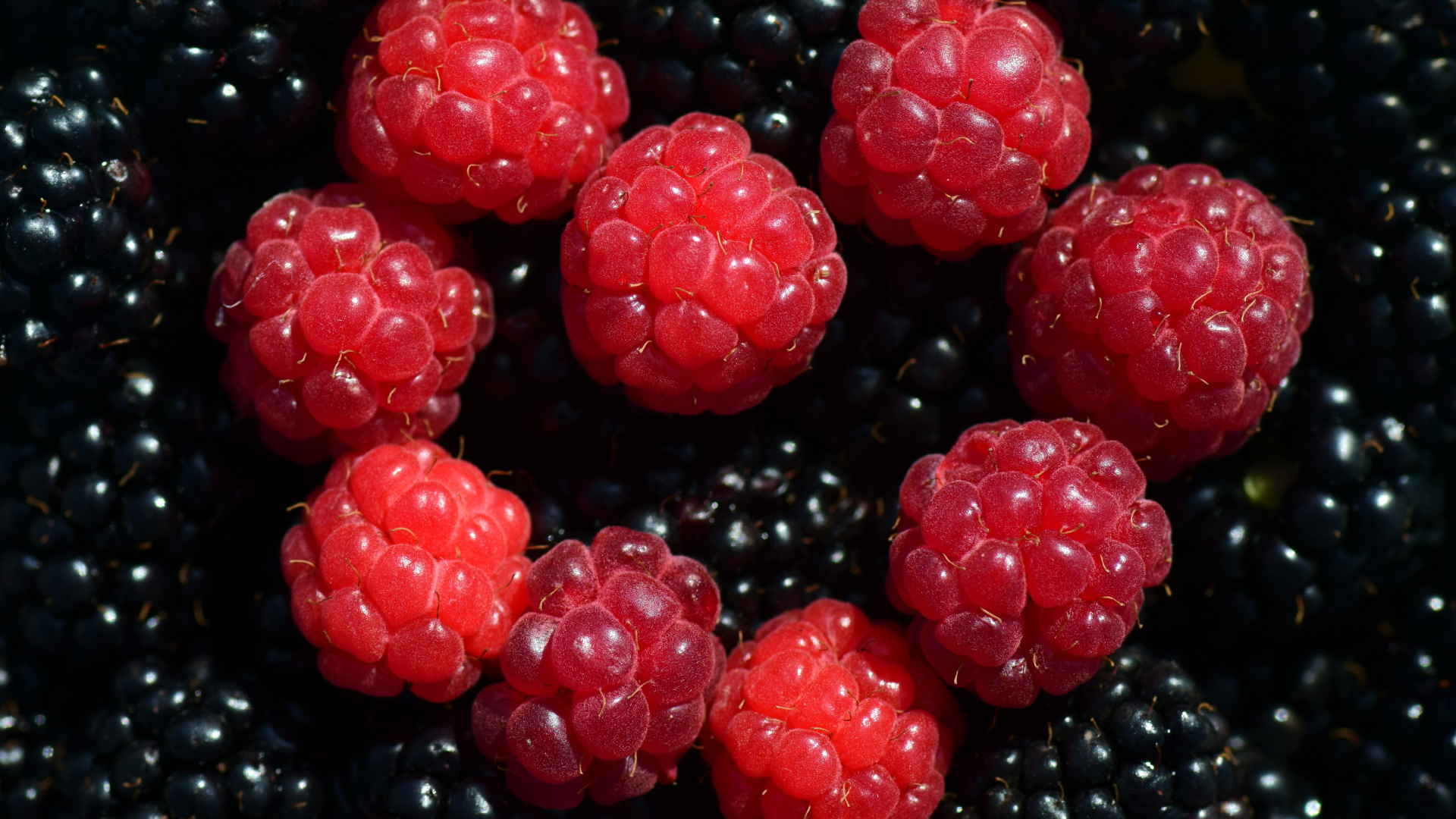 Fruto Redondo Rojo Sobre Superficie Negra. Wallpaper in 1920x1080 Resolution