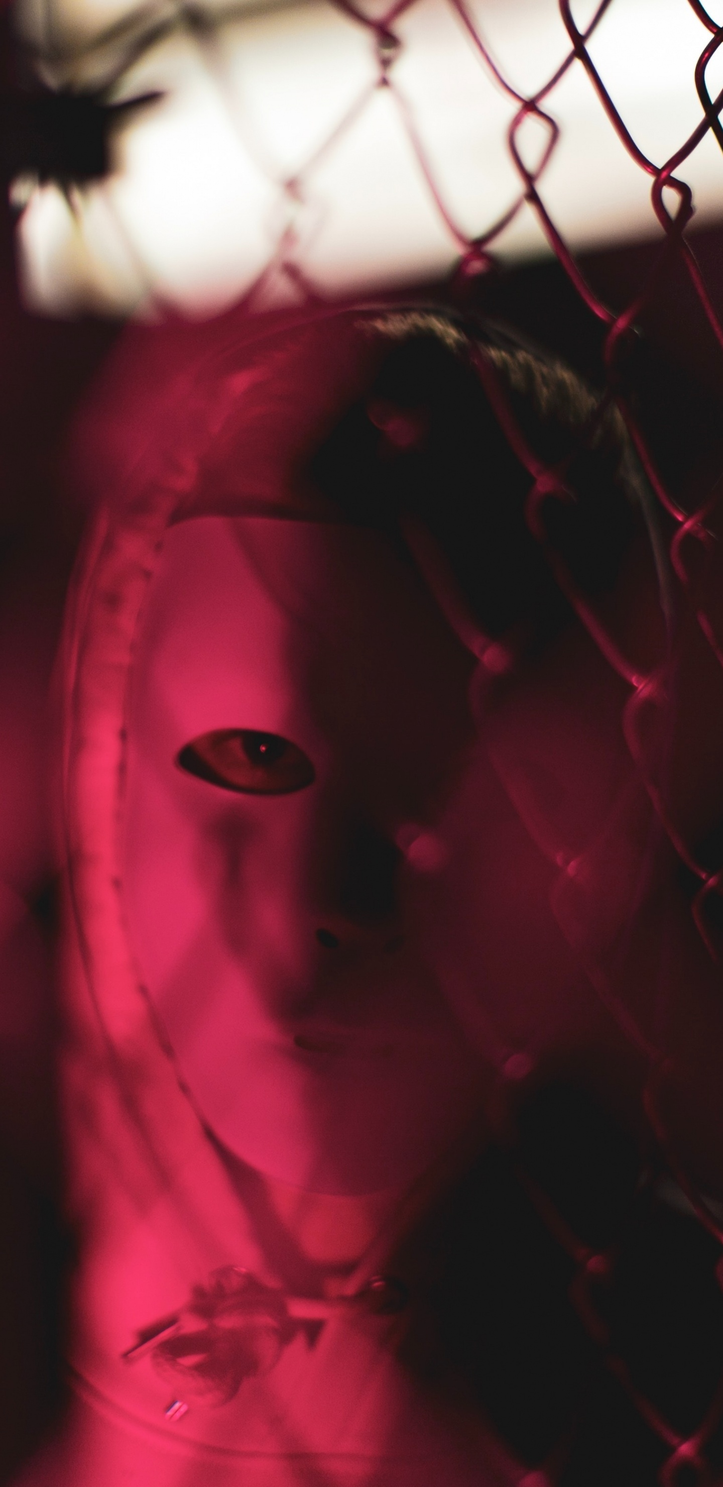 红色的, 光, 粉红色, 品红色, 房间 壁纸 1440x2960 允许