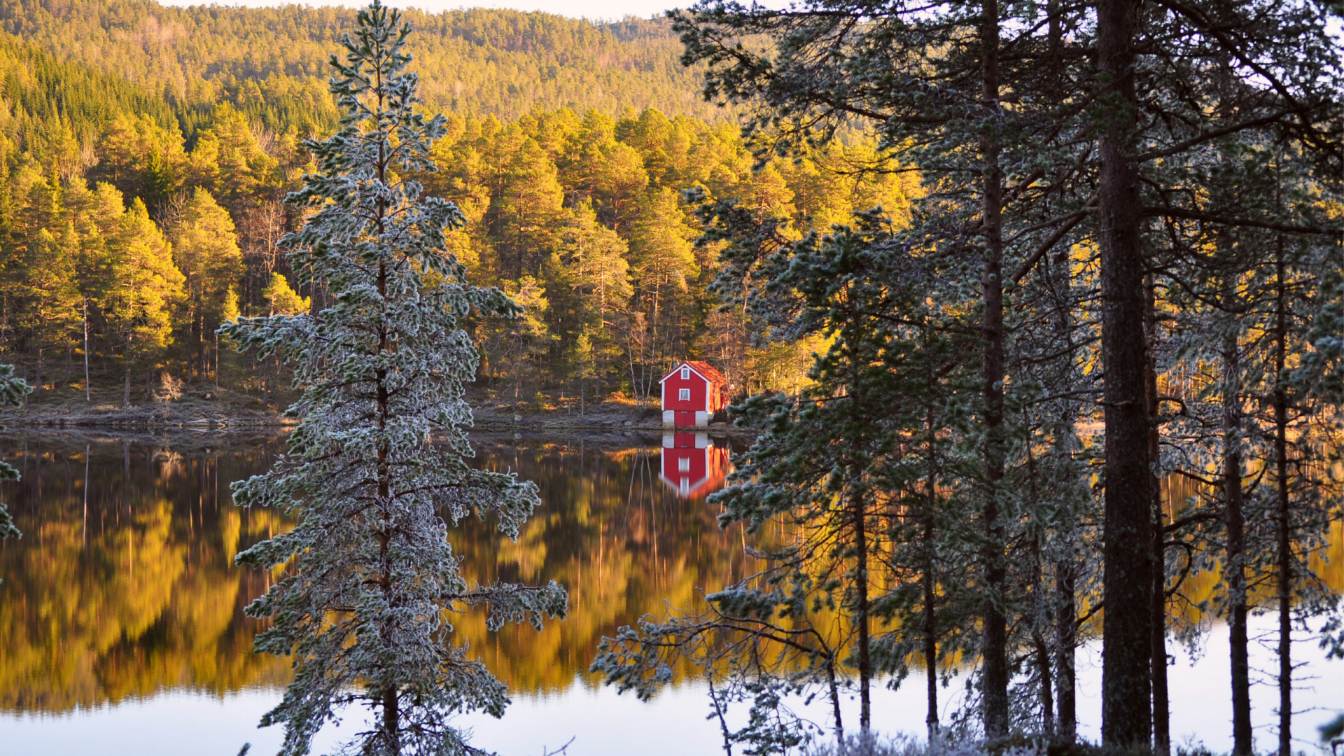 Red and White Wooden House Near Green Trees and Lake During Daytime. Wallpaper in 1920x1080 Resolution