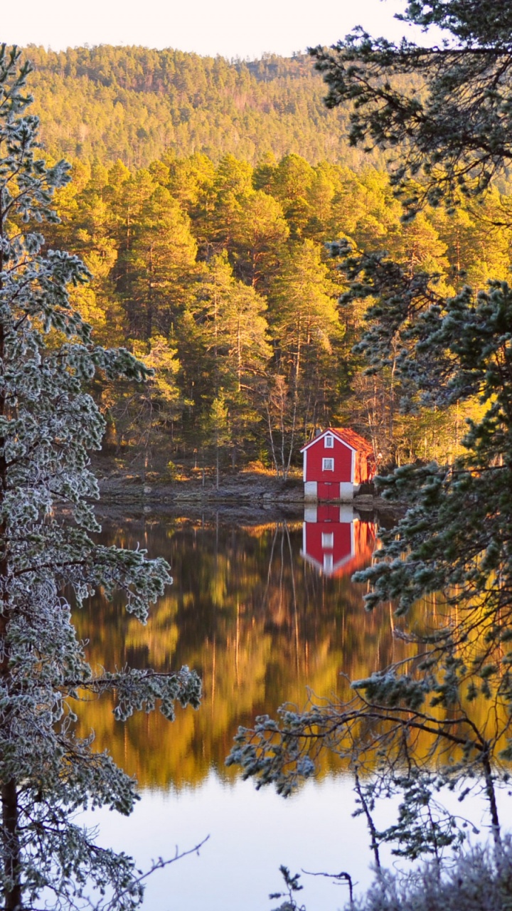 Red and White Wooden House Near Green Trees and Lake During Daytime. Wallpaper in 720x1280 Resolution