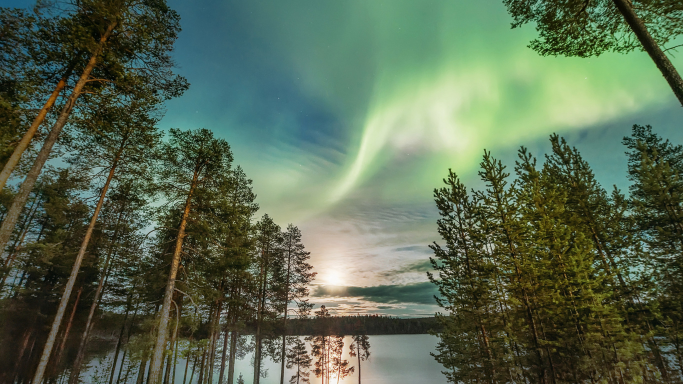 Green Trees Near Body of Water During Daytime. Wallpaper in 1366x768 Resolution