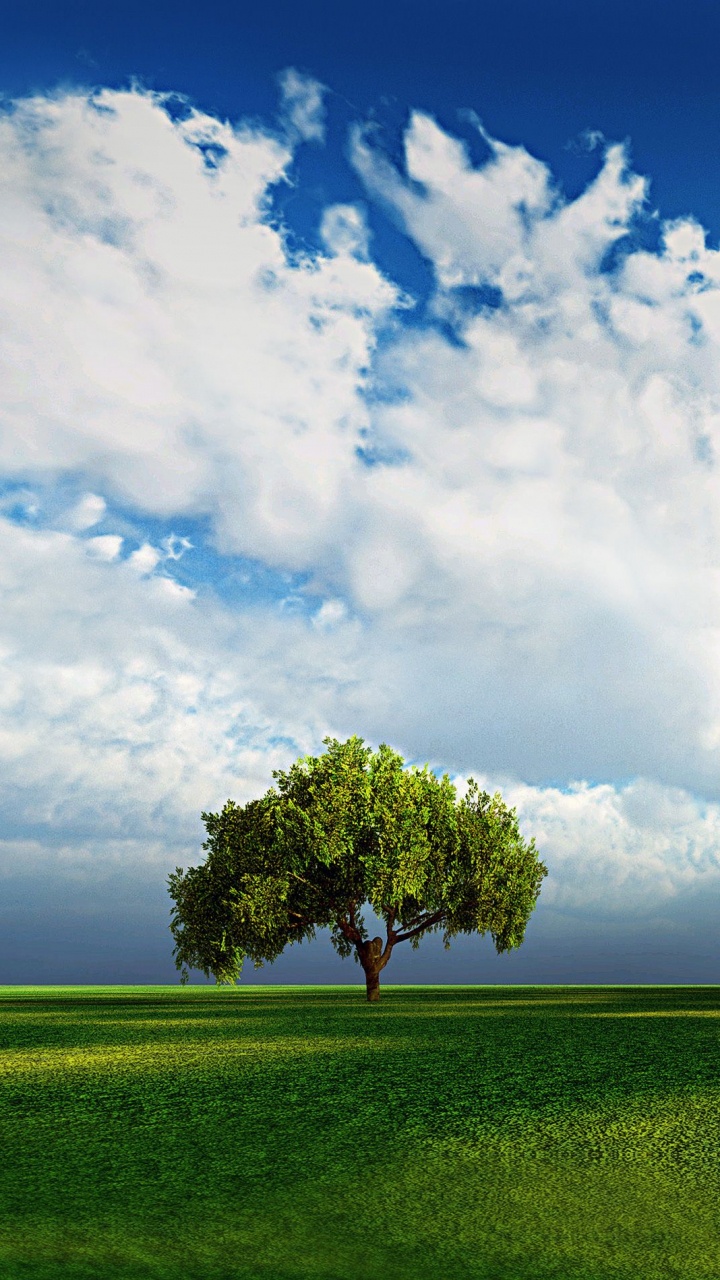 Natural Landscape, Green, Nature, Tree, Grassland. Wallpaper in 720x1280 Resolution