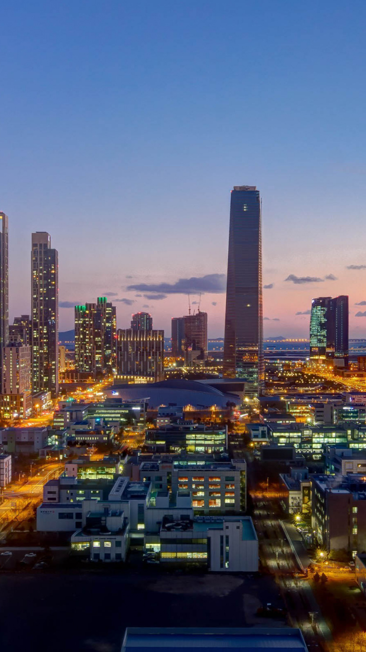 City With High Rise Buildings During Night Time. Wallpaper in 750x1334 Resolution